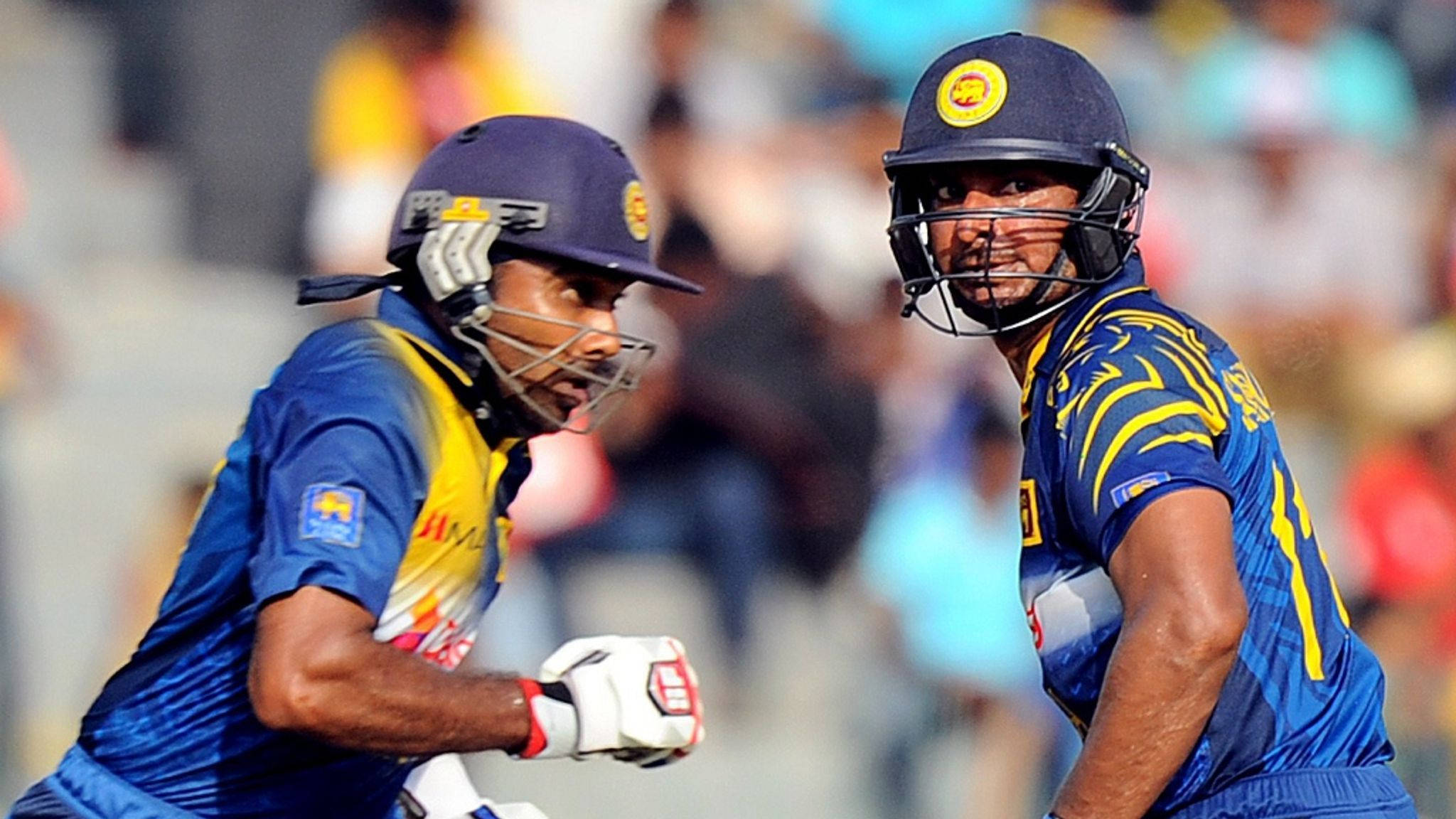 Sri Lanka Cricket 桌布 壁紙 — 兩名身穿藍黃色球衣的斯里蘭卡板球運動員在日間比賽中激烈慶祝。