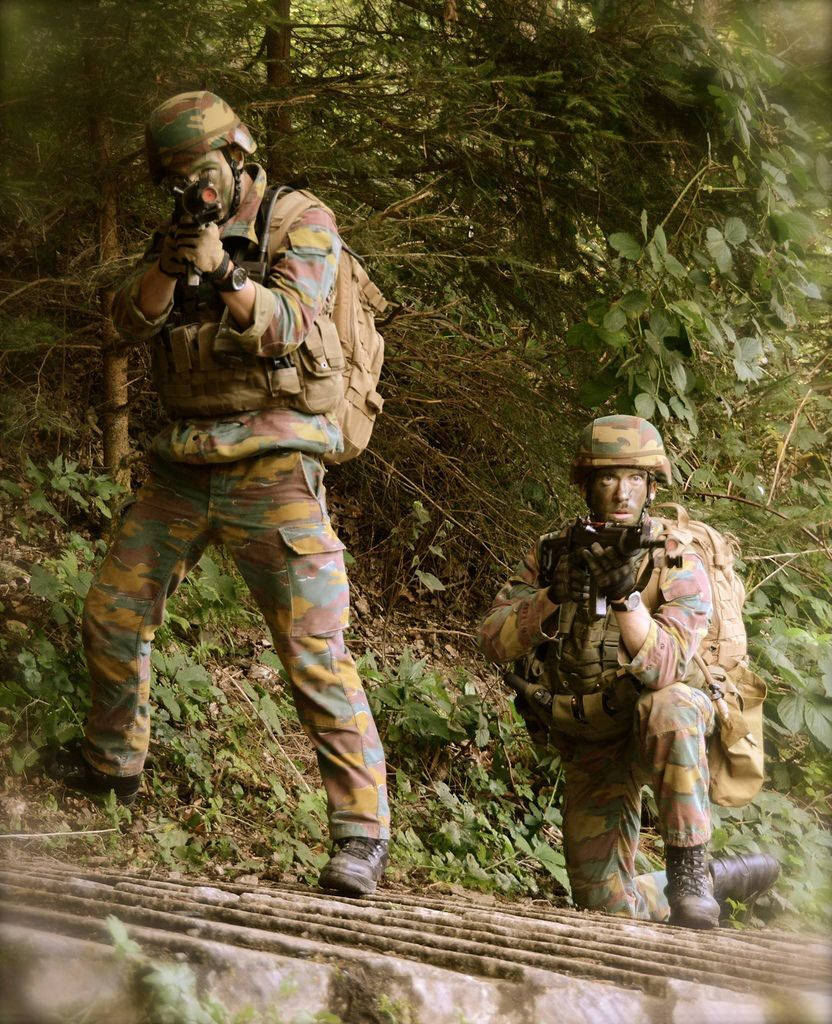  壁紙 — 兩名身穿迷彩裝備的士兵在茂密的綠色森林中蹲下並持步槍警覺地站立。