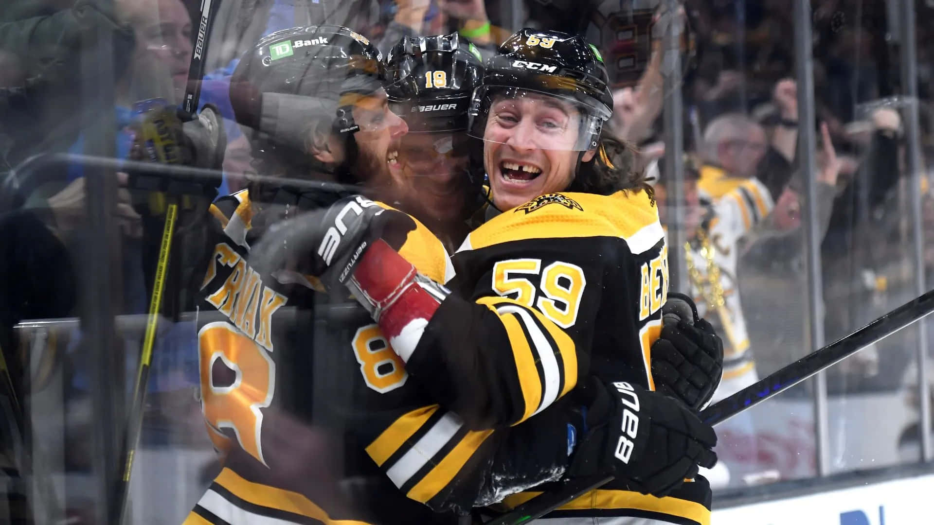 Tyler Bertuzzi 桌布 壁紙 — 兩名身穿黑色和金色球衣的冰球運動員在冰場上歡喜擁抱，球迷在玻璃後歡呼。