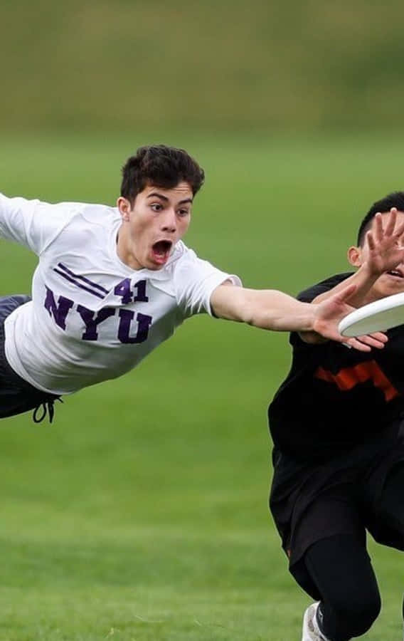 Android Ultimate Frisbee 桌布 壁紙 — 兩名運動員在激烈的飛盤比賽中飛撲過草地，表情專注，雙臂伸展。