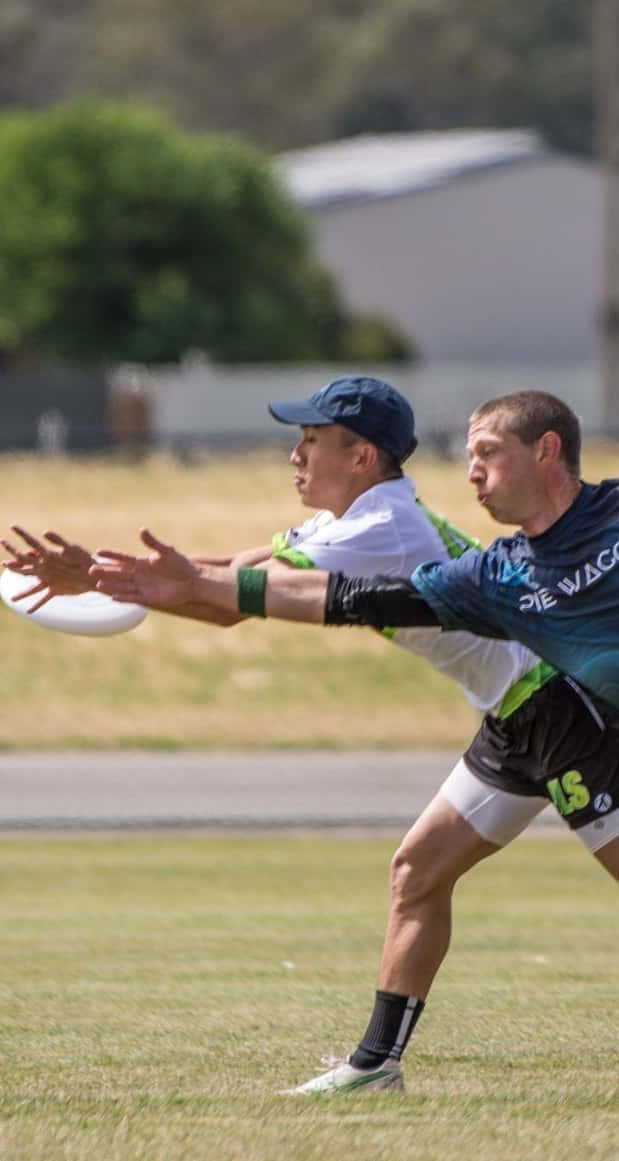 Athlete 桌布 壁紙 — 兩名運動員在草地上激烈爭奪飛行的飛盤，陽光普照。