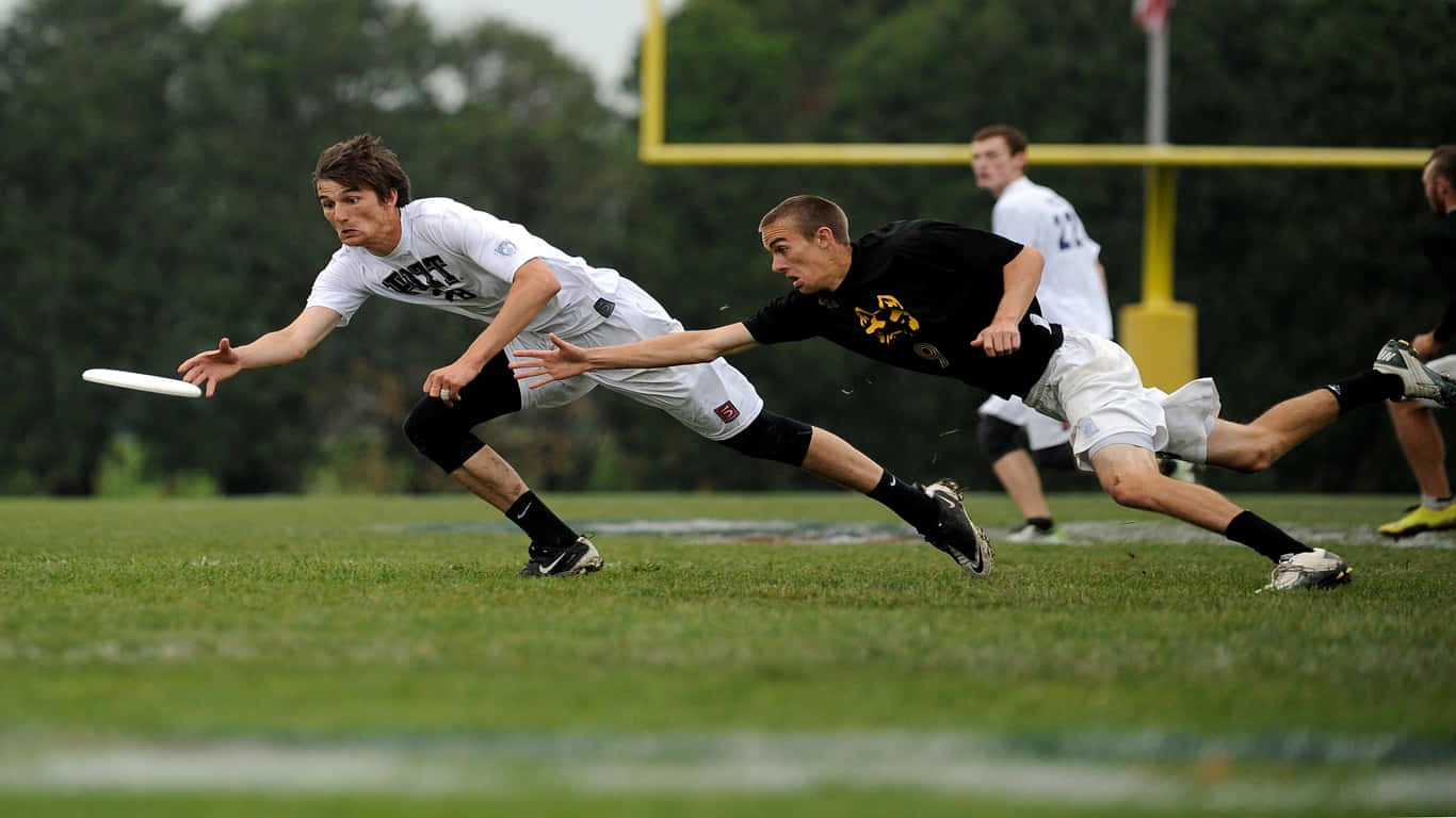 1366x768 Ultimate Frisbee 桌布 壁紙 — 兩名運動員在陰天下的草地上飛撲爭奪飛行的飛盤。