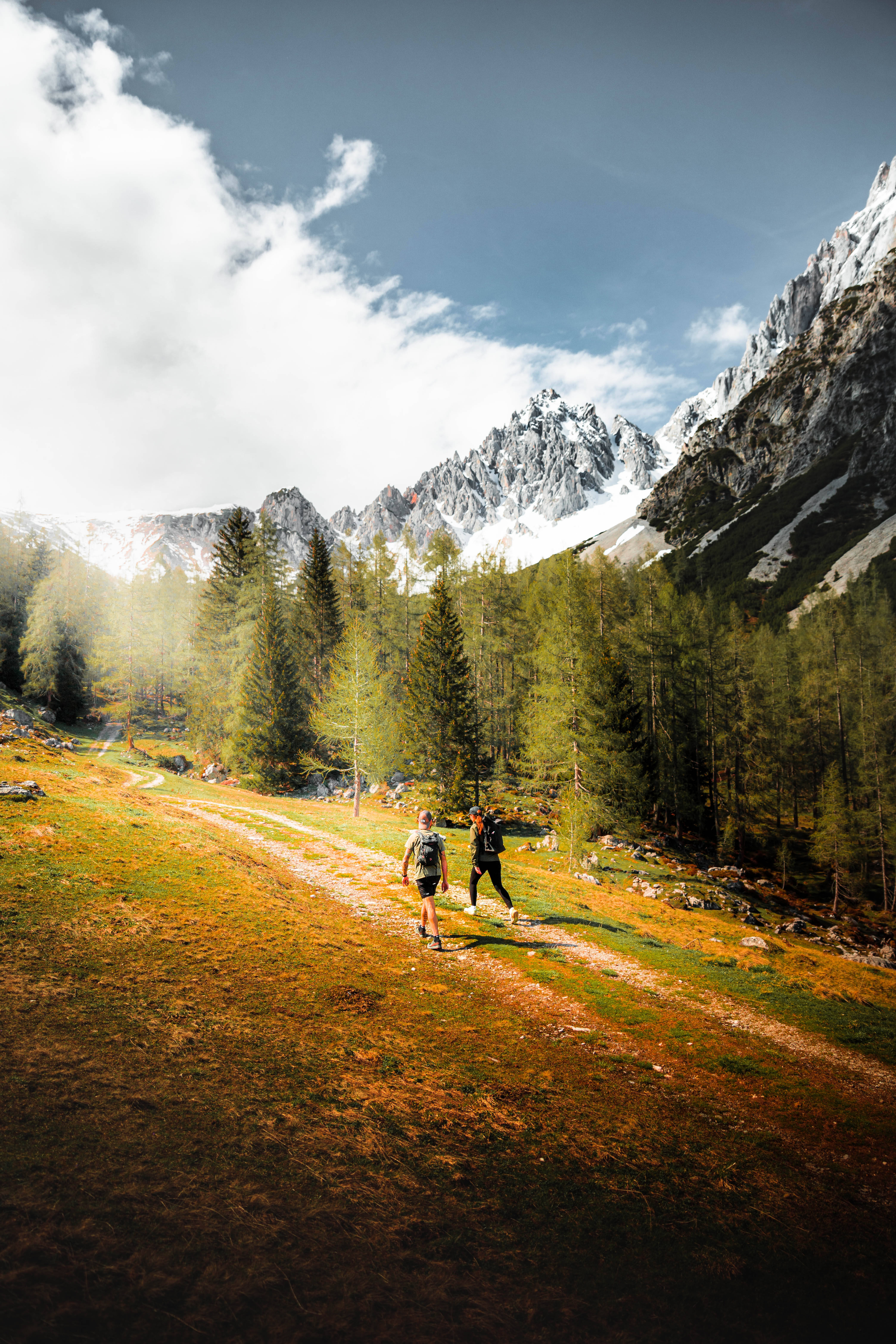 Austria 桌布 壁紙 — 兩名遠足者沿著陽光明媚的山間小徑穿過秋草，背景是白雪覆蓋的山峰和常綠森林。