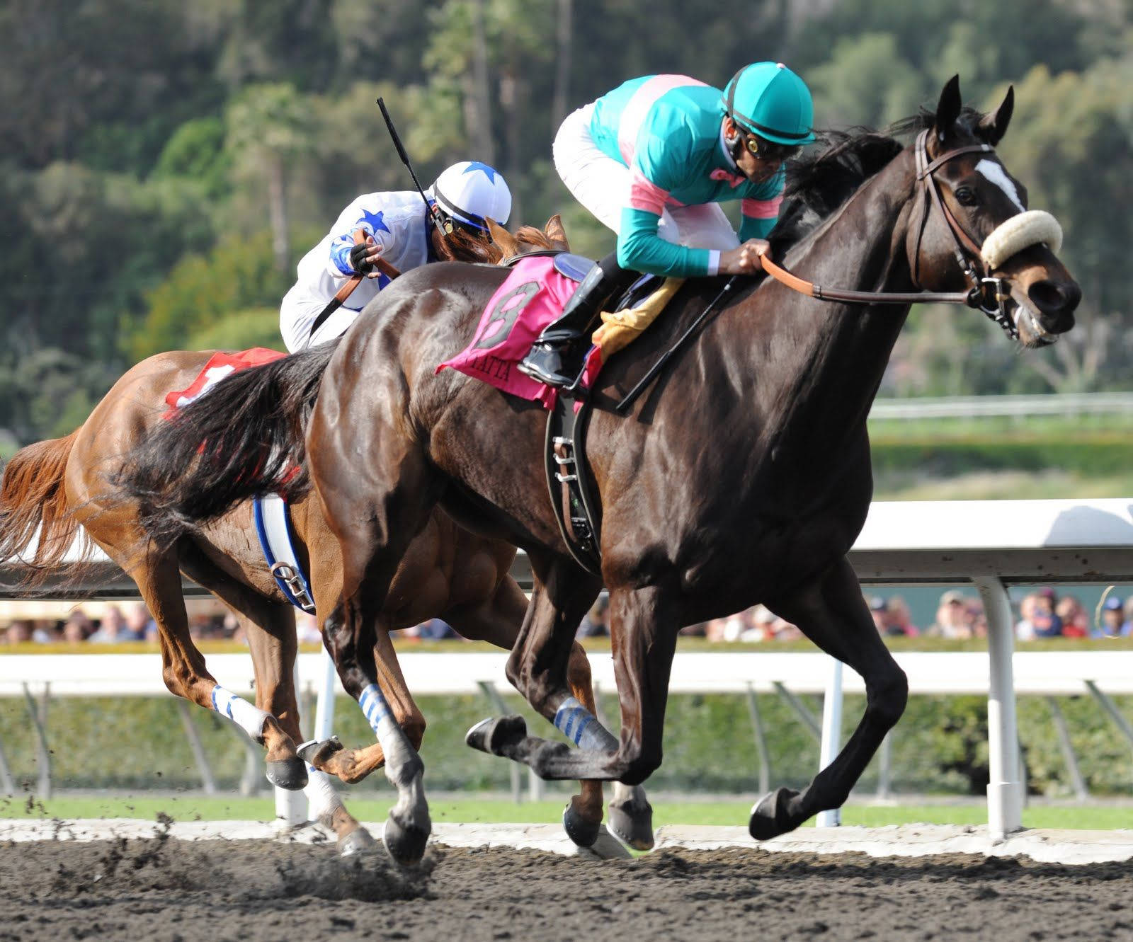 Horse Racing 桌布 壁紙 — 兩名騎師身穿色彩鮮豔的絲綢賽衣，在泥地賽道上策騎深色馬匹全速奔馳，背景有觀眾。