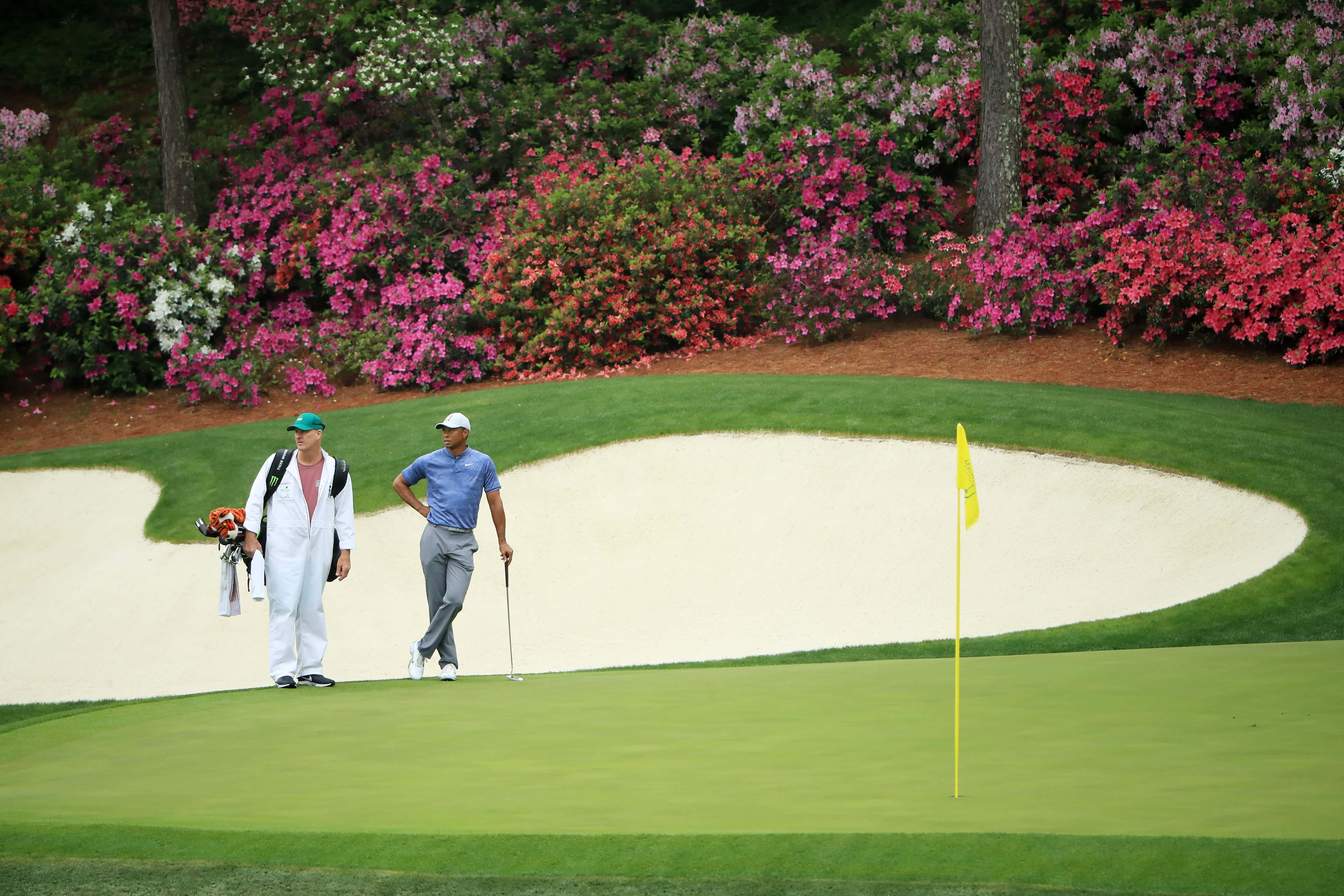 Augusta National iPhone 桌布 壁紙 — 兩名高爾夫球手在充滿活力的綠色球道上漫步，球道兩旁有沙坑和盛開的粉紅色灌木叢。