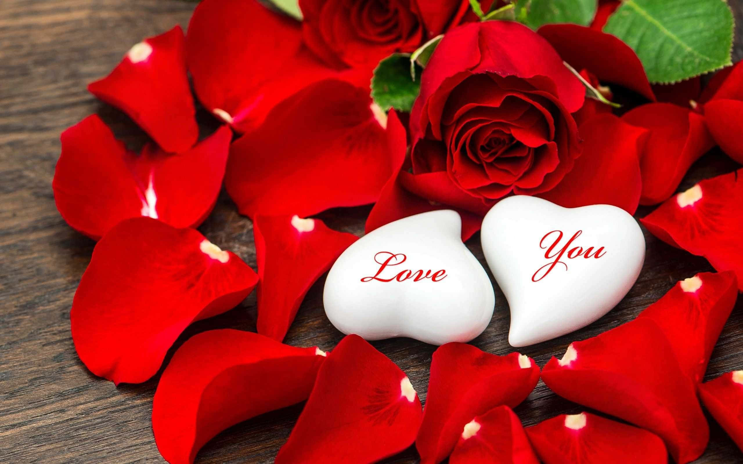 Rose Petals 桌布 壁紙 — 兩塊白色心形石頭刻有「Love You」，放在充滿活力的紅玫瑰花瓣中，置於質樸的木質表面上。