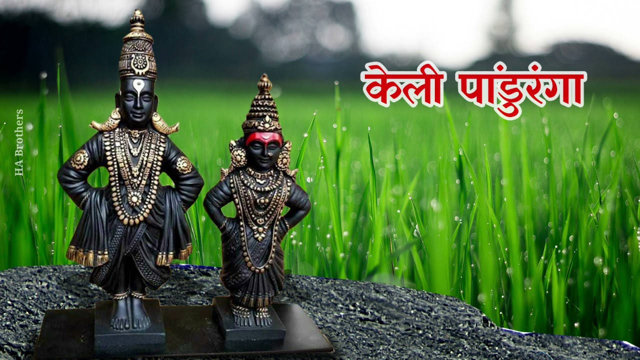 Indian 桌布 壁紙 — 兩尊華麗的黑金印度教神像傲然矗立在帶有印地語文字覆蓋的露珠綠色草地上。