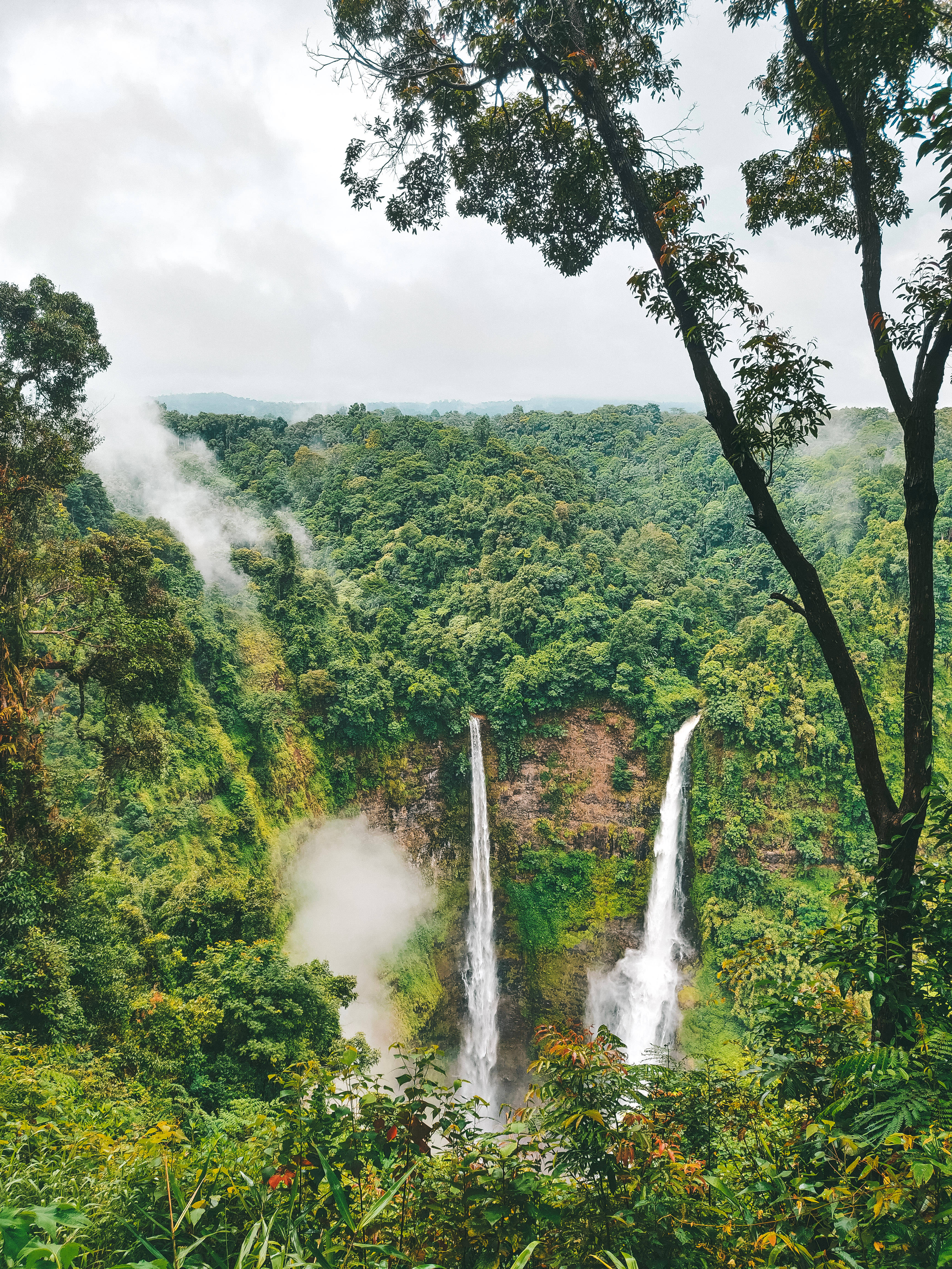 Laos 桌布 壁紙 — 兩座壯麗的瀑布從翠綠的懸崖傾瀉而下，流入被參天大樹環繞的迷霧叢林山谷。