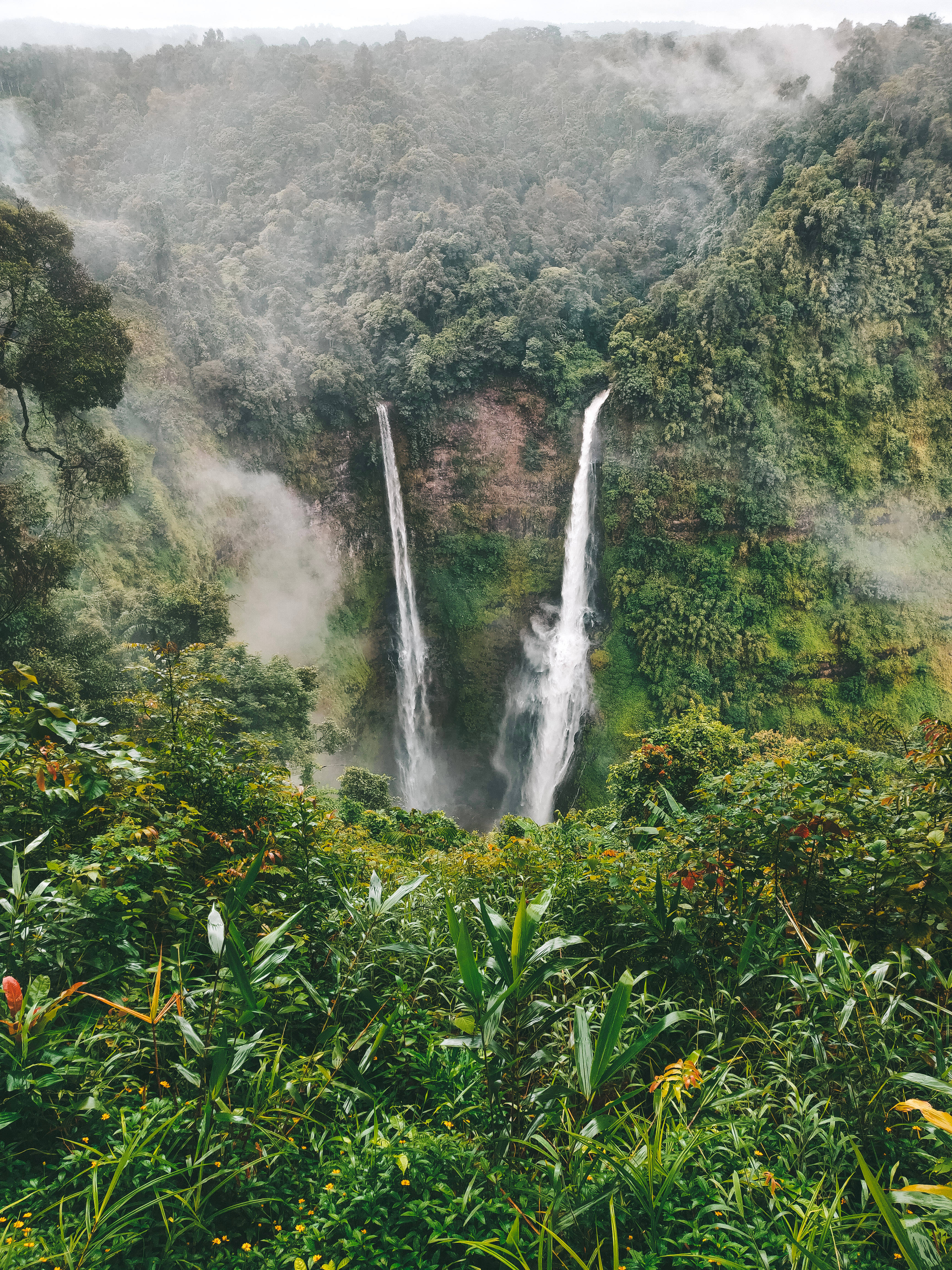 Laos 桌布 壁紙 — 兩座壯麗的瀑布穿過煙霧繚繞的叢林懸崖，周圍環繞著茂密的綠色樹葉和充滿活力的熱帶植物。