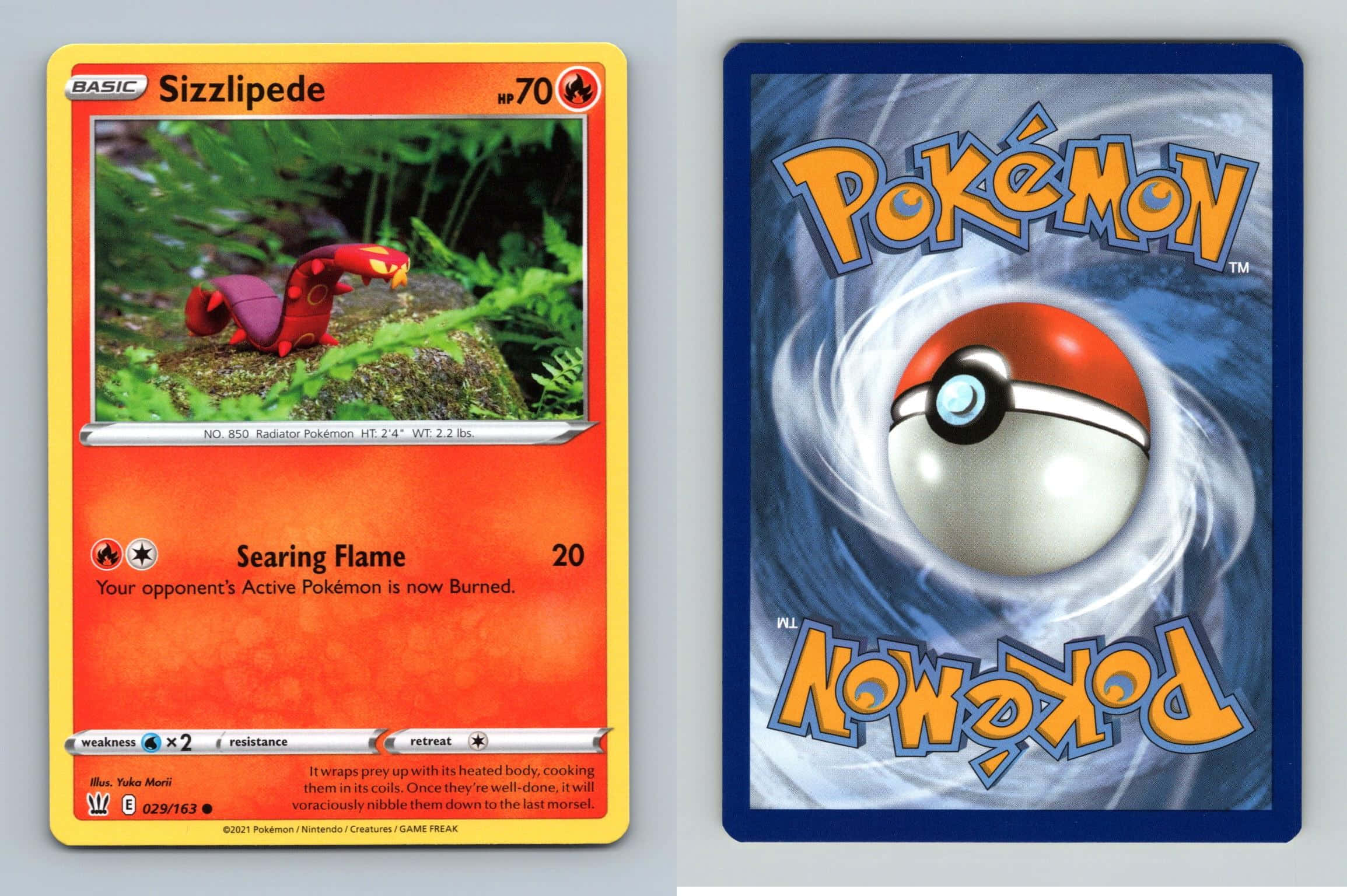 Pokemon Card 桌布 壁紙 — 兩張寶可夢集換式卡牌並排展示，一張是綠色樹葉中的燒火蚣，另一張是旋轉藍色漩渦中的精靈球。