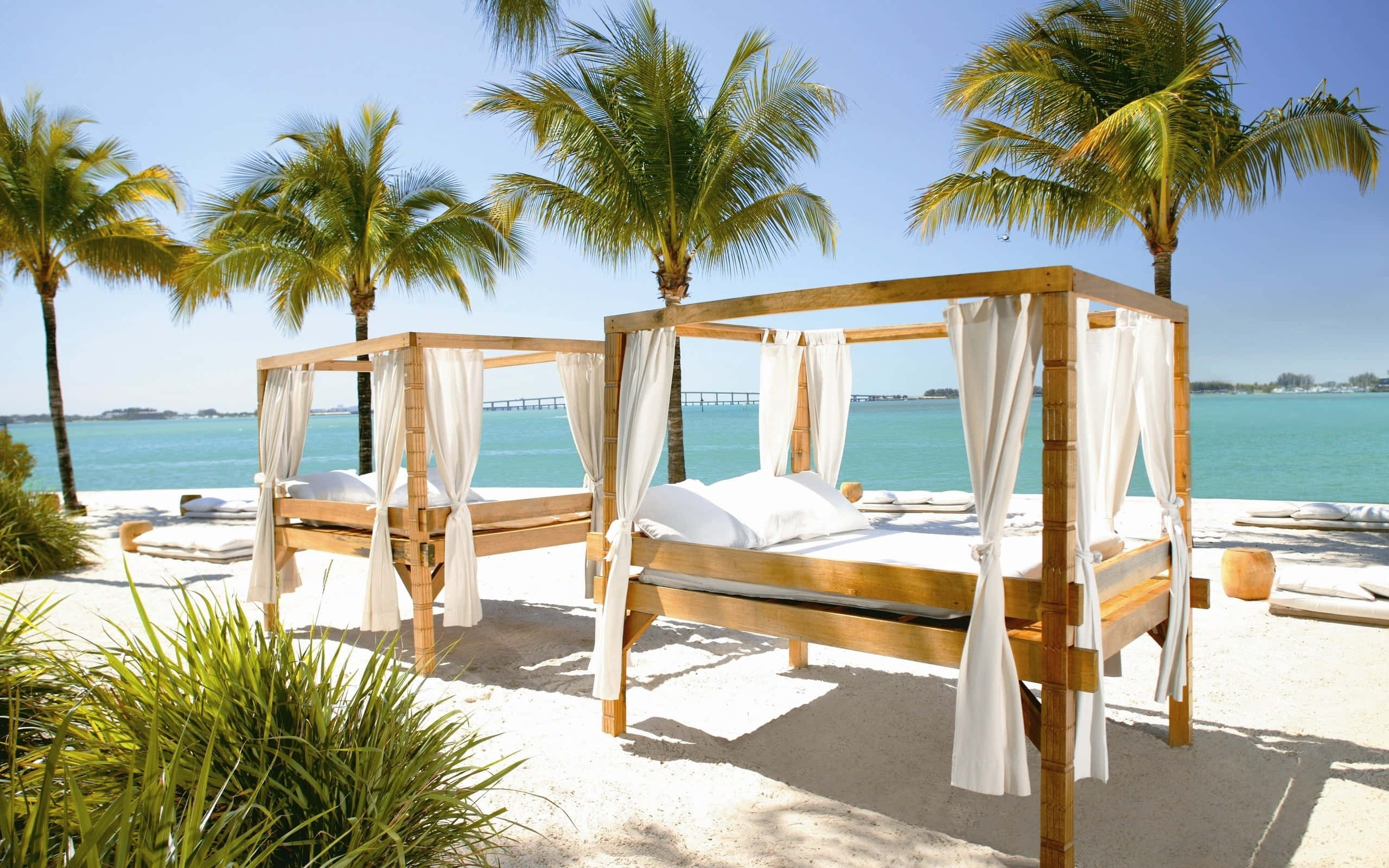 Beach Daybed 桌布 壁紙 — 兩張木製天篷床配有白色窗簾，放置在棕櫚樹下的沙灘上，俯瞰著碧綠的海水。