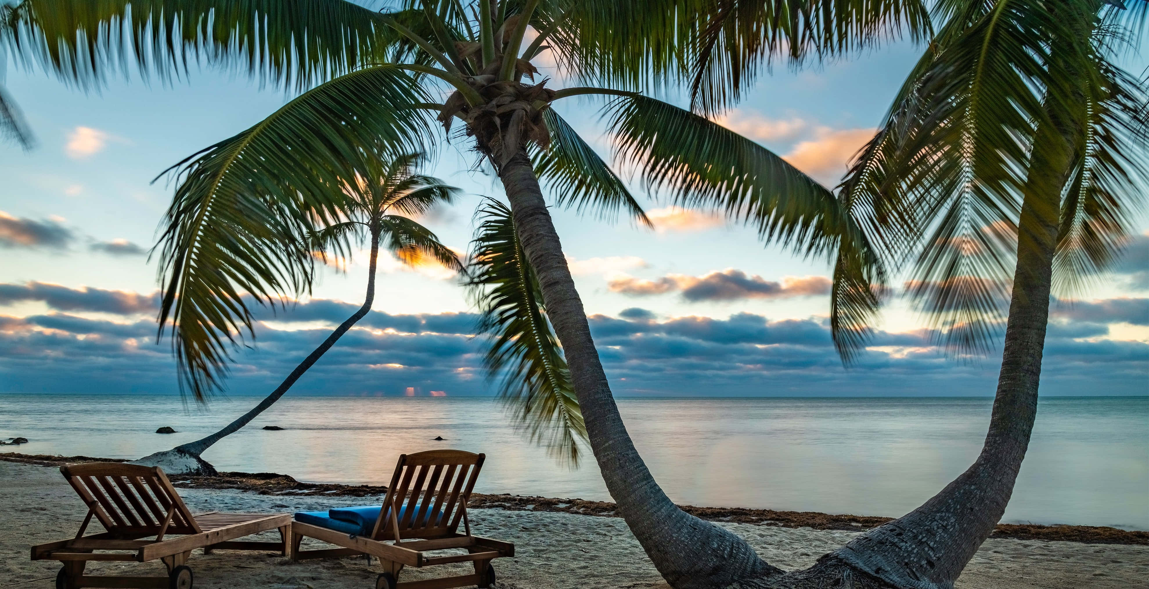 Beach Palm Trees 桌布 壁紙 — 兩張木製躺椅在日落時分寧靜的海灘上，搖曳的棕櫚樹下，伴隨著柔和的藍色和橙色雲彩。