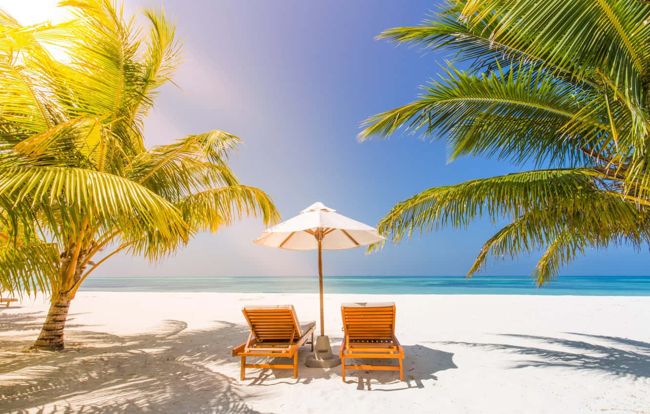 Beach Sunbed 桌布 壁紙 — 兩張木製躺椅在白色遮陽傘下，位於純淨的白色沙灘上，周圍環繞著搖曳的棕櫚樹和碧綠的海洋。