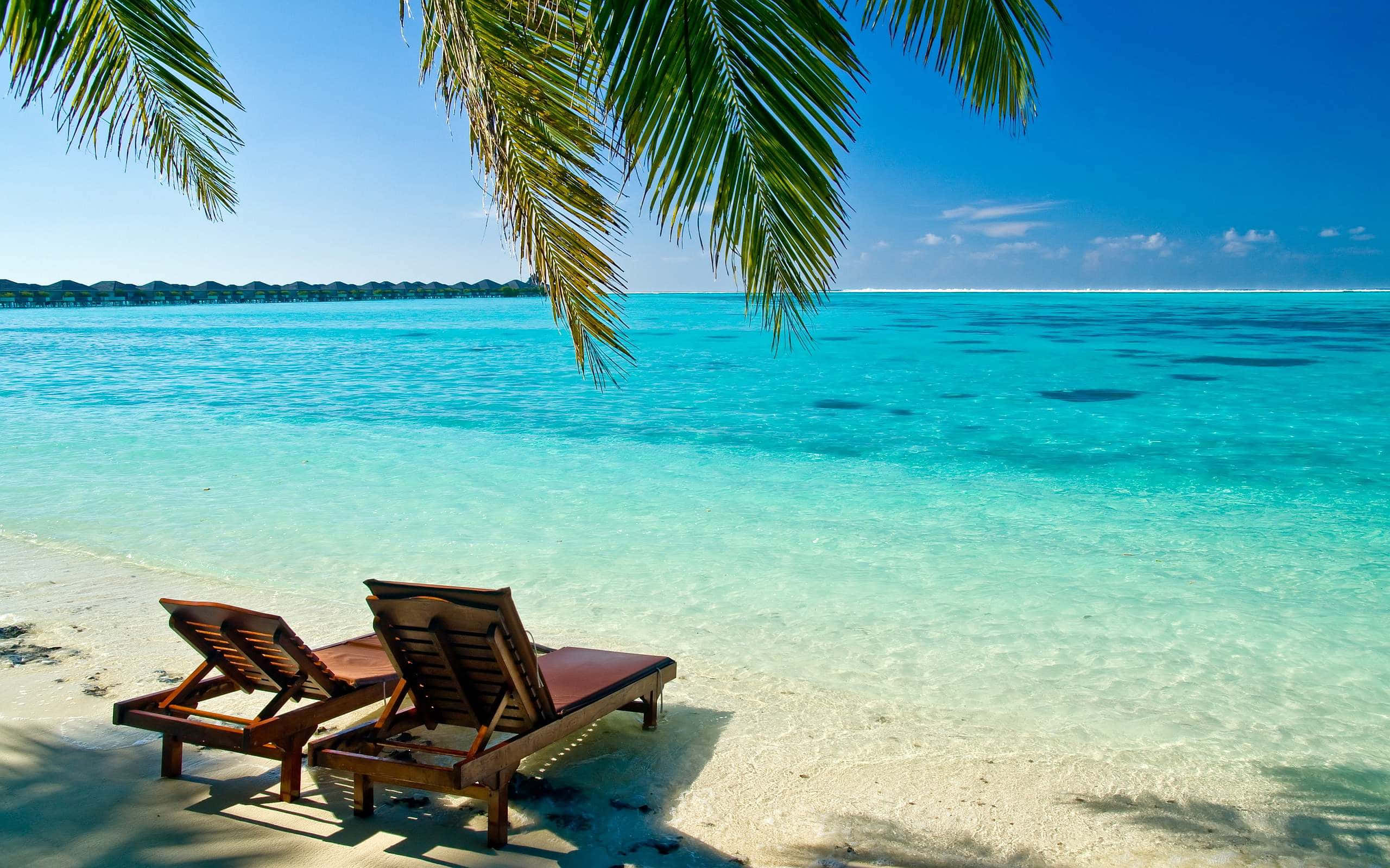 Caribbean Beach 桌布 壁紙 — 兩張木製躺椅放在白色沙灘上，棕櫚葉下，俯瞰著碧綠的海水。