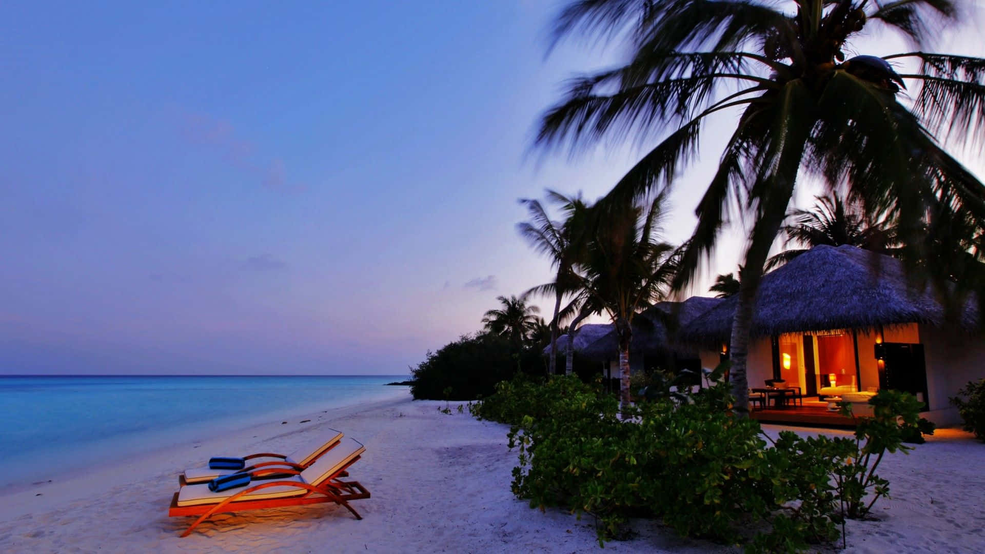 Beach Resort 桌布 壁紙 — 兩張木製躺椅放在白色沙灘上，黃昏時分，在茅草屋頂別墅旁，棕櫚樹搖曳。