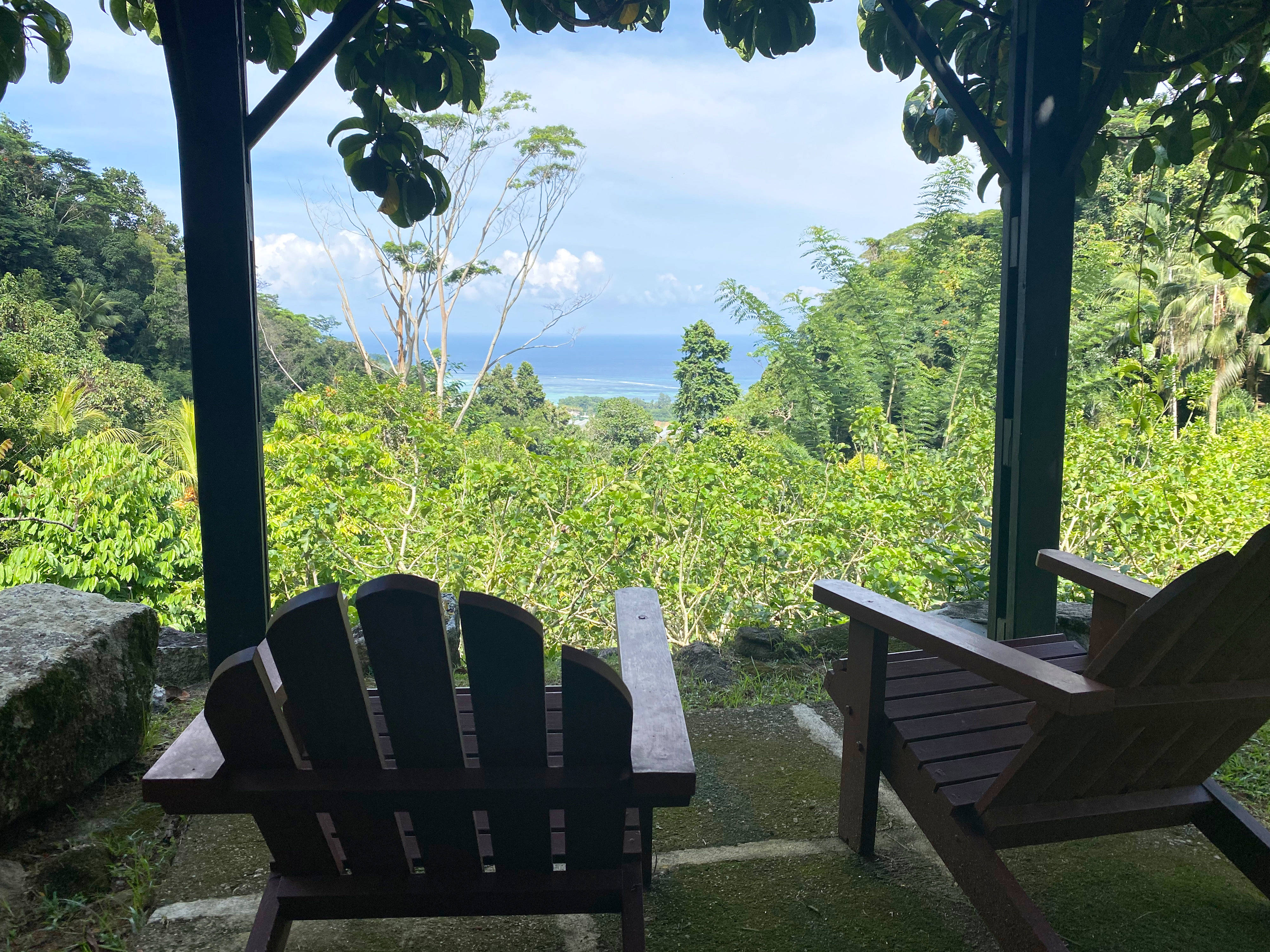 Seychelles 桌布 壁紙 — 兩張木製阿迪朗達克椅子放在一個綠葉成蔭的涼亭下，俯瞰著茂密的綠色叢林和遠處的海洋，天空湛藍明亮。