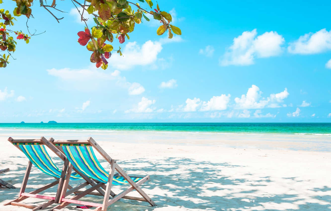 Beach Sunbed 桌布 壁紙 — 兩張條紋沙灘椅放在枝葉茂密的樹枝下，位於純淨的白色沙灘上，面向碧綠的海水，頭頂是明亮的藍天。