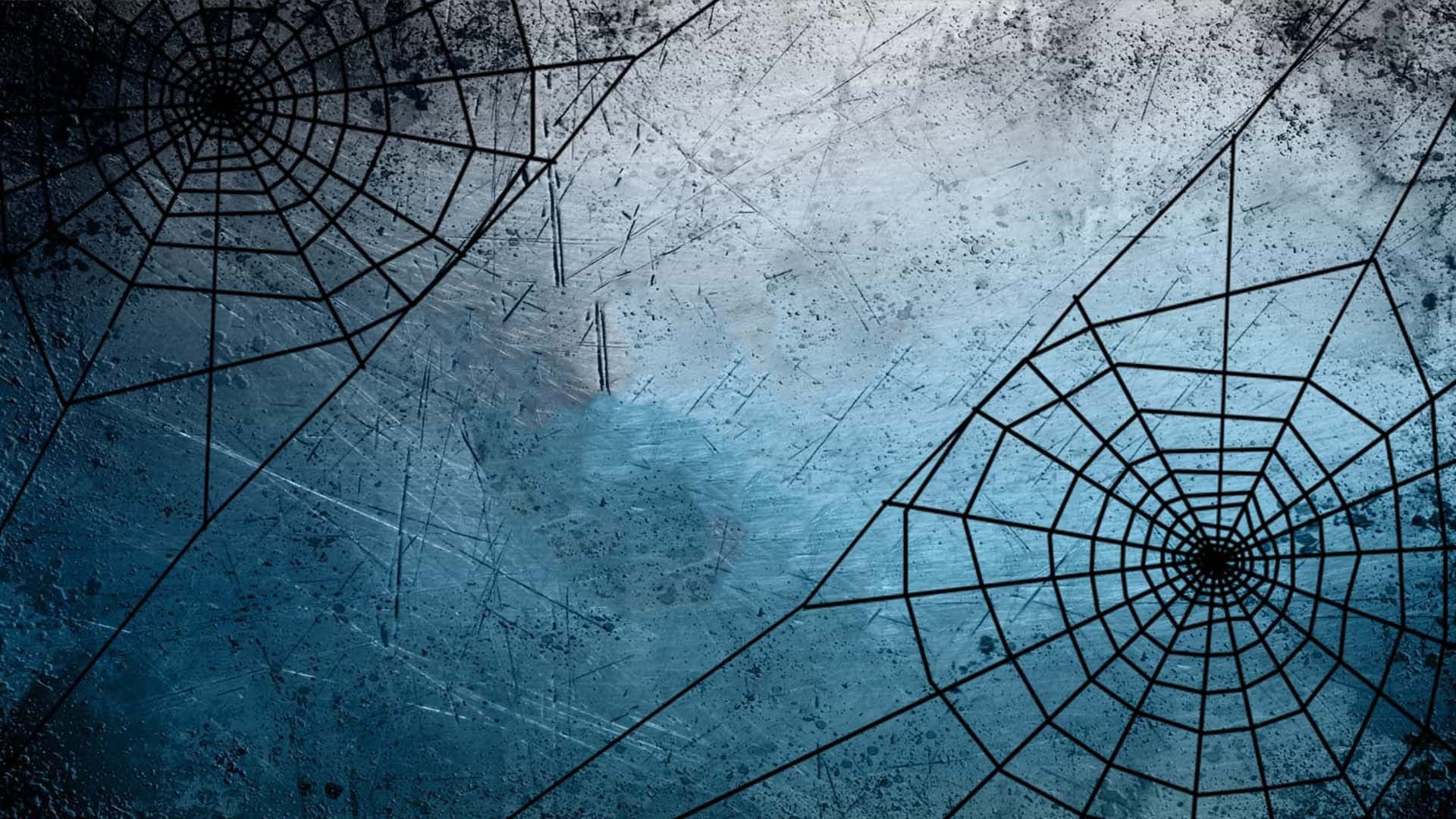 Spider Web 桌布 壁紙 — 兩張複雜的蜘蛛網橫跨在帶有刮痕和斑點的風化藍色表面上。