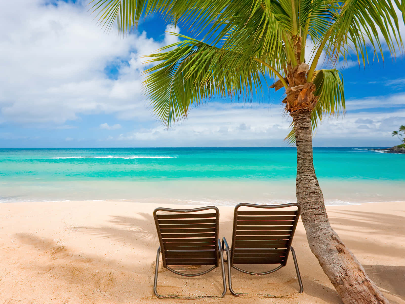 Summer Beach 桌布 壁紙 — 兩張躺椅放在沙灘上的棕櫚樹下，面向著在明亮藍天和蓬鬆雲朵下的碧綠海浪。