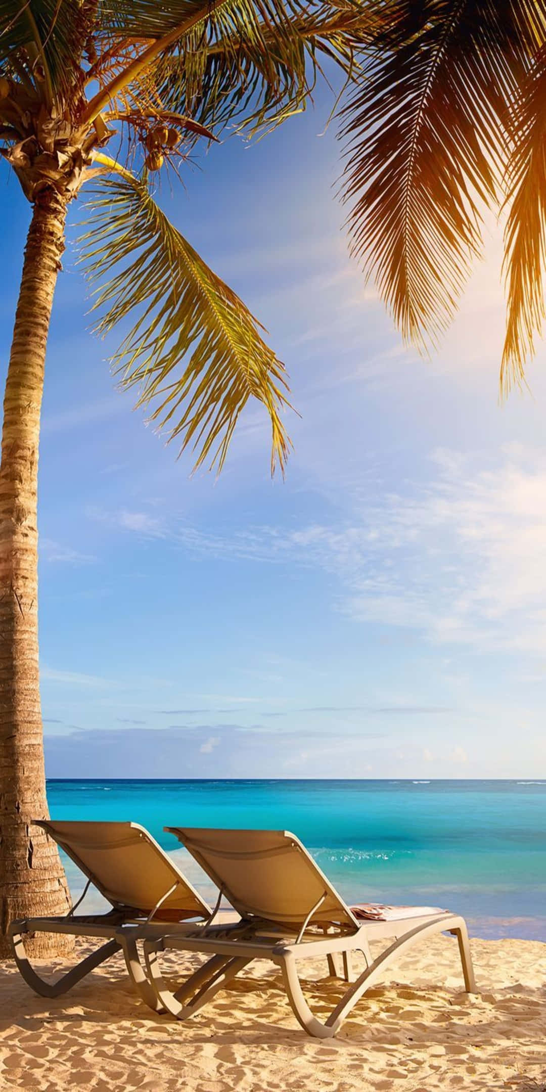 Pixel 3 Beach 桌布 壁紙 — 兩張躺椅放在陽光普照的熱帶海灘的棕櫚樹下，背景是碧綠色的海洋和清澈的藍天。