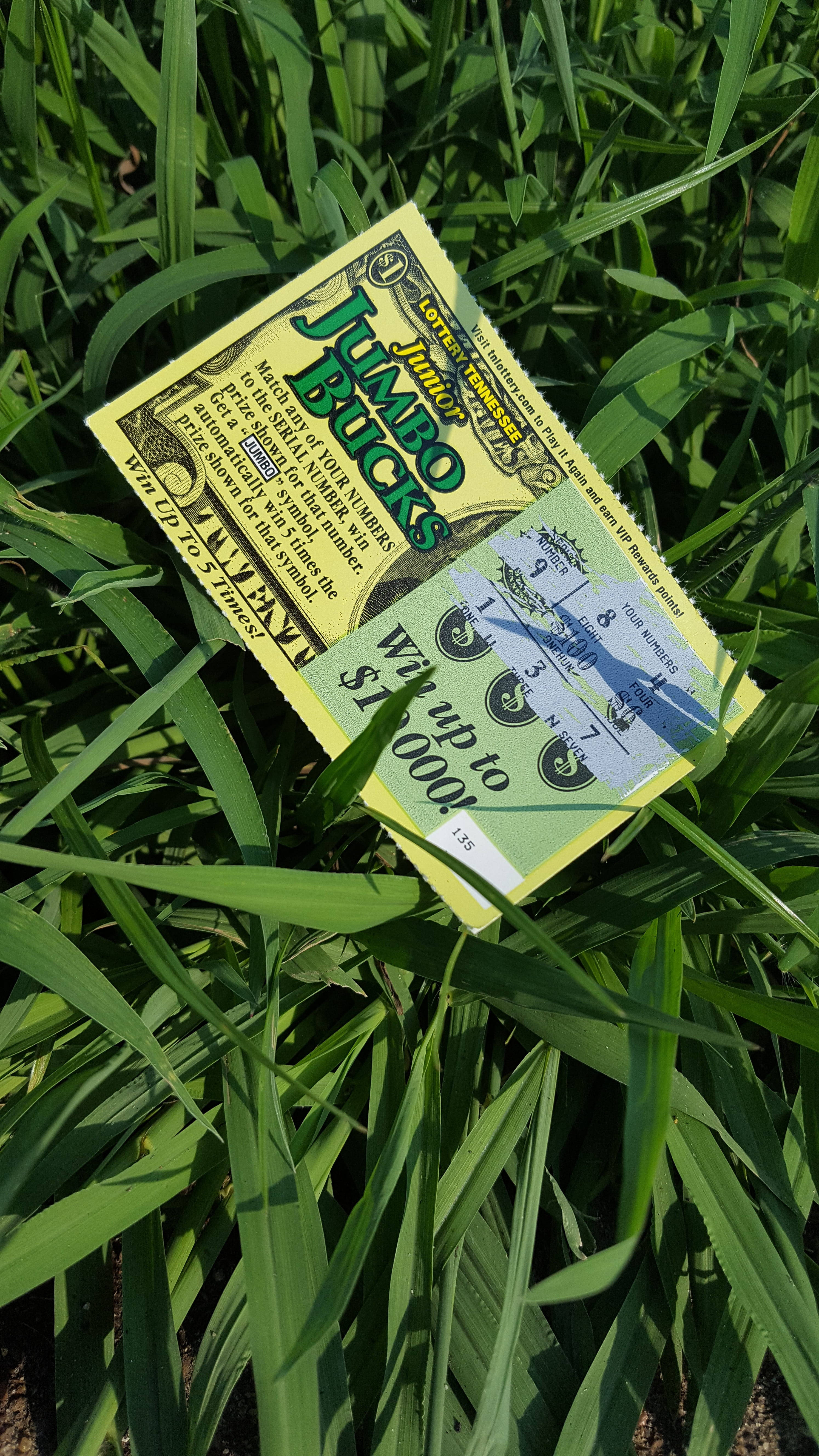 樂透彩券 桌布 壁紙 — 兩張鮮黃色的jumbo bucks彩券被丟棄在高聳的翠綠草叢中，在明亮陽光下。