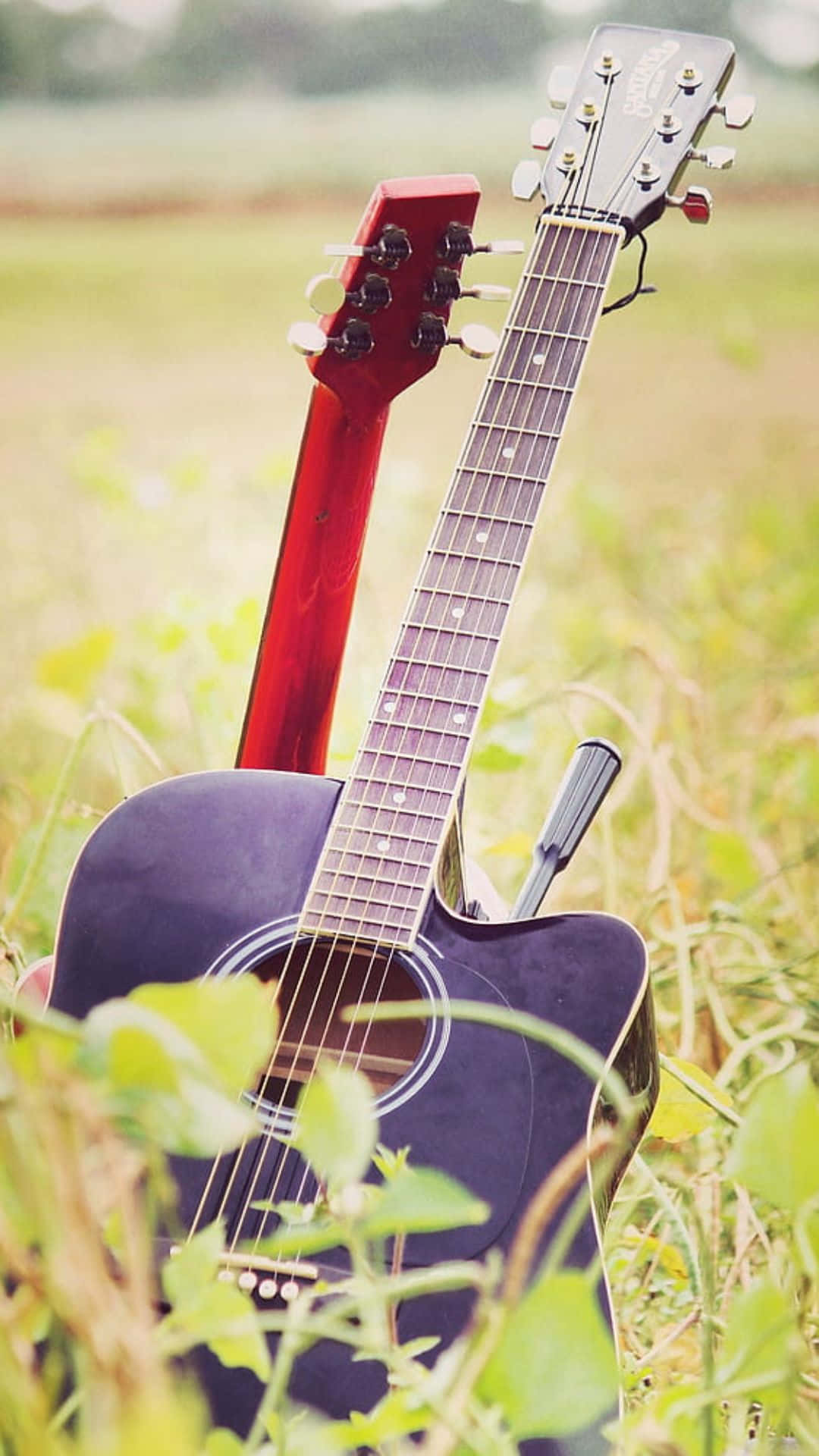 Acoustic Guitar 桌布 壁紙 — 兩把木吉他，一紅一黑，擱在陽光明媚的草地上，背景帶有柔和散景效果。