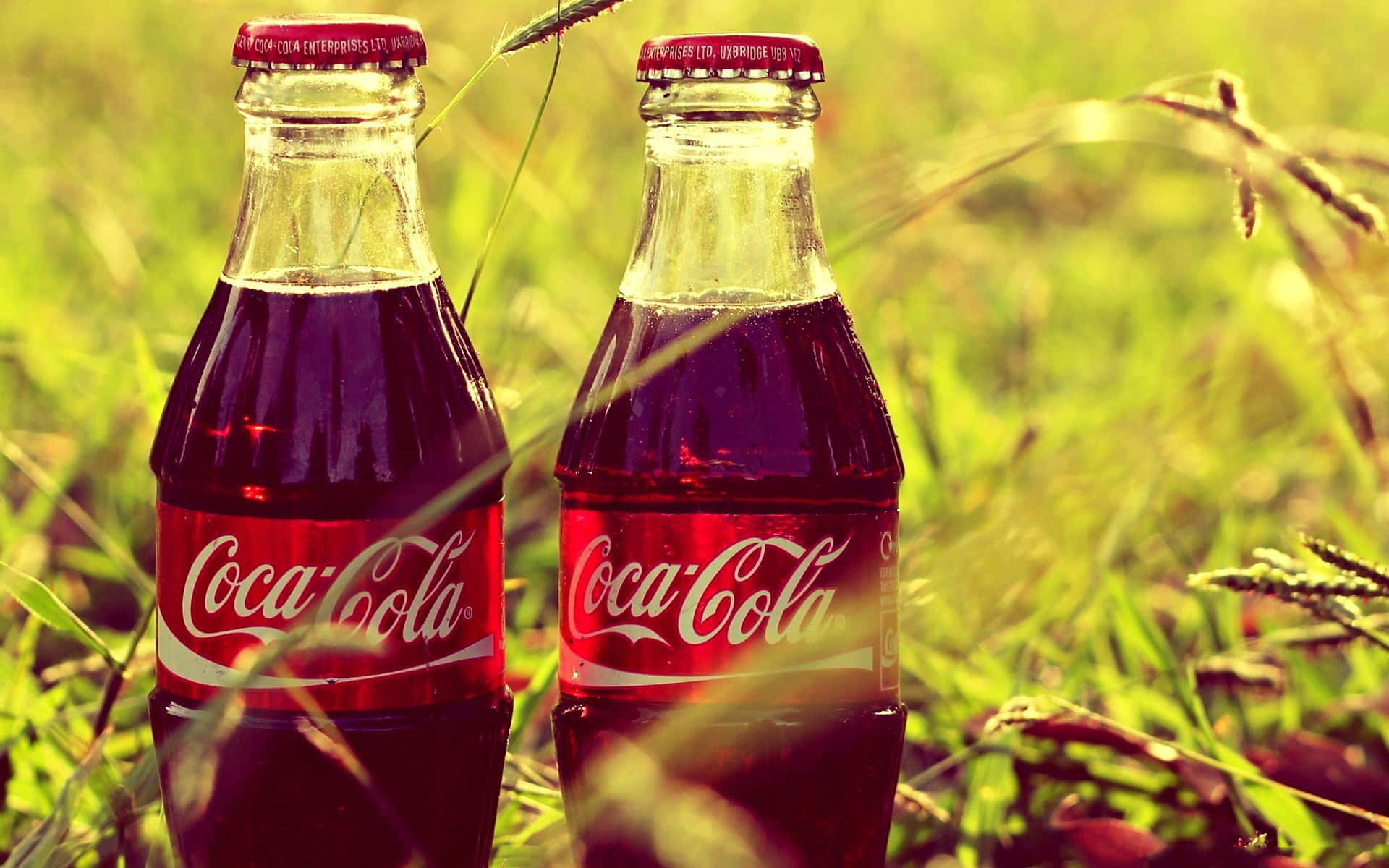 coca cola 桌布 壁紙 — 兩支復古可口可樂玻璃瓶放在陽光照耀的草地上，帶有溫暖的金色色調和柔和的散景背景。