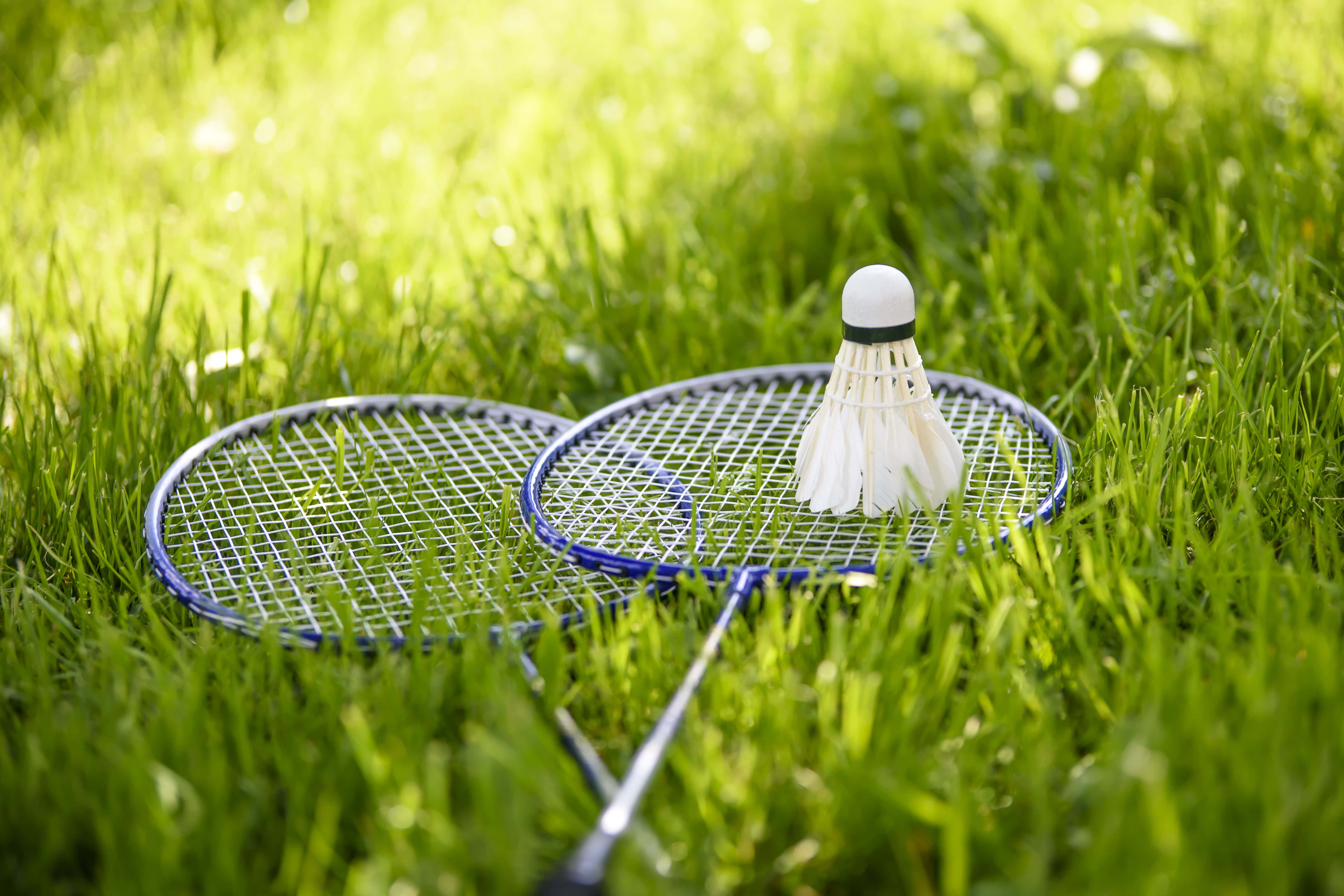 Badminton 桌布 壁紙 — 兩支羽毛球拍和一個羽毛球在明亮的陽光下放在充滿活力的綠色草地上。