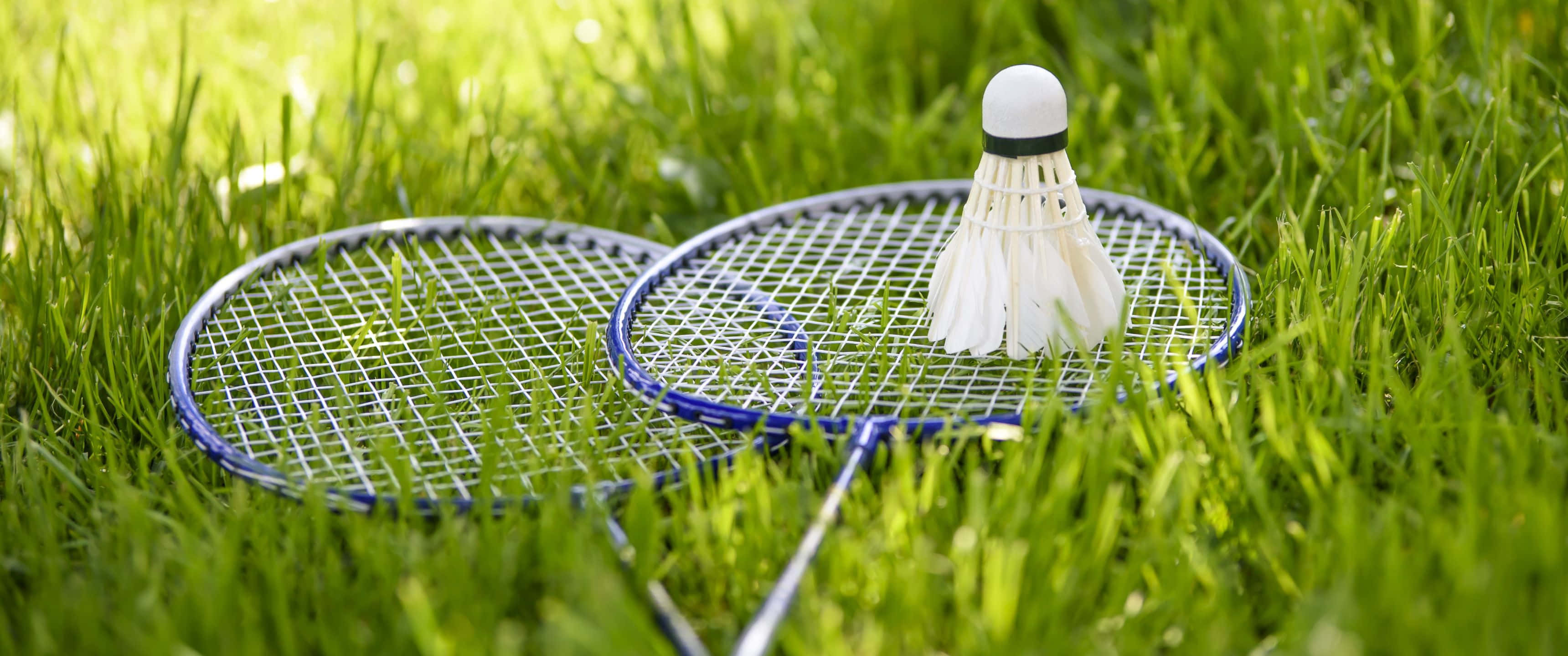 3440x1440p Badminton 桌布 壁紙 — 兩支羽毛球拍和一個羽毛球在明亮的陽光下放在充滿活力的綠色草地上。
