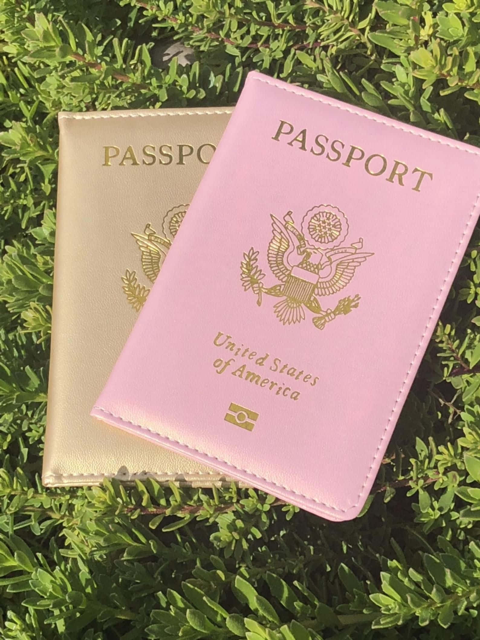 Passport 桌布 壁紙 — 兩本粉紅色和金色的美國護照在明亮的陽光下放在鮮綠色的葉子上。