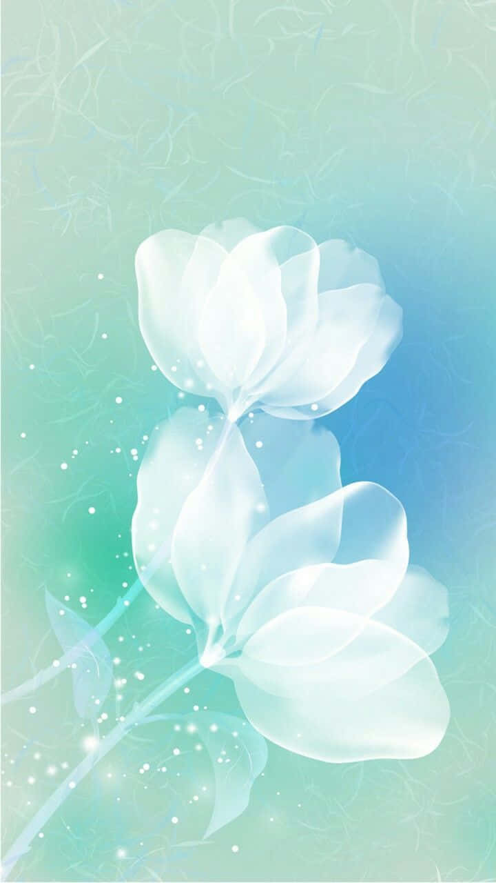 Teal Flower 桌布 壁紙 — 兩朵半透明的白色花朵在帶有閃爍粒子的藍綠色和藍色漸變背景上柔和發光。