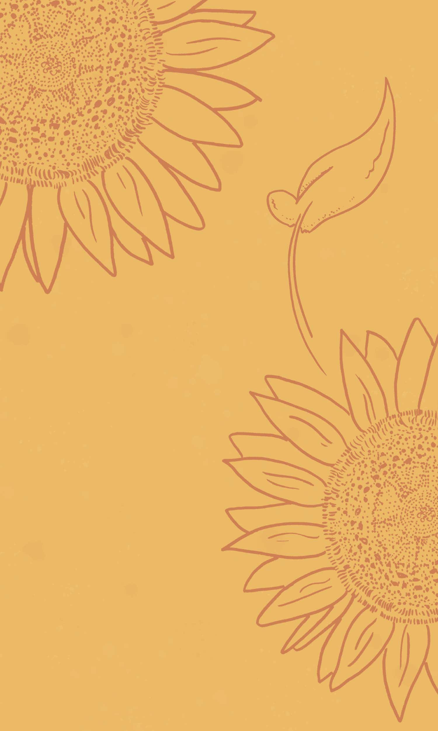 Sunflower Yellow 桌布 壁紙 — 兩朵向日葵，中心及莖部細節以棕色勾勒，背景為溫暖黃色。