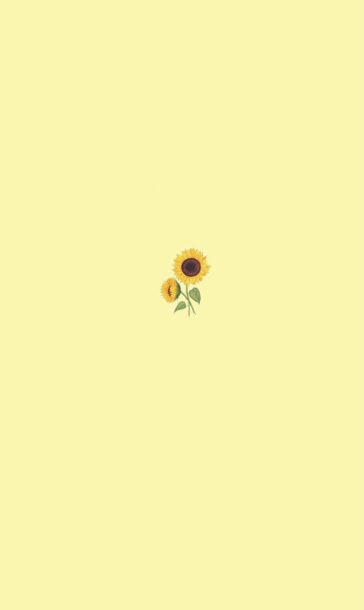 Yellow 桌布 壁紙 — 兩朵向日葵，花心深色，莖部綠色，獨自漂浮在淡黃色背景上。