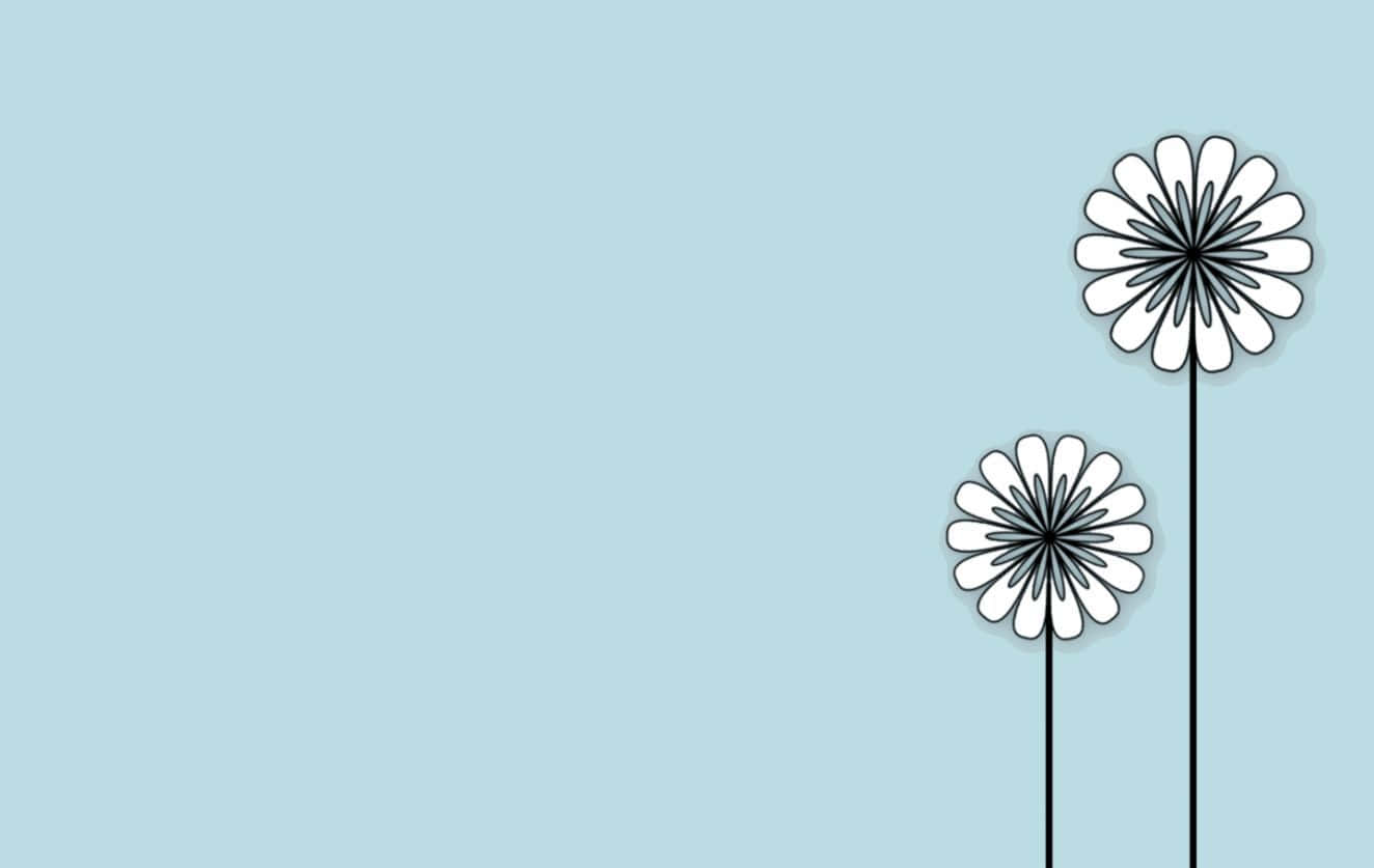 Minimalist Flower Computer 桌布 壁紙 — 兩朵極簡風格的白雛菊，黑色花莖，漂浮在柔和的藍色背景上。