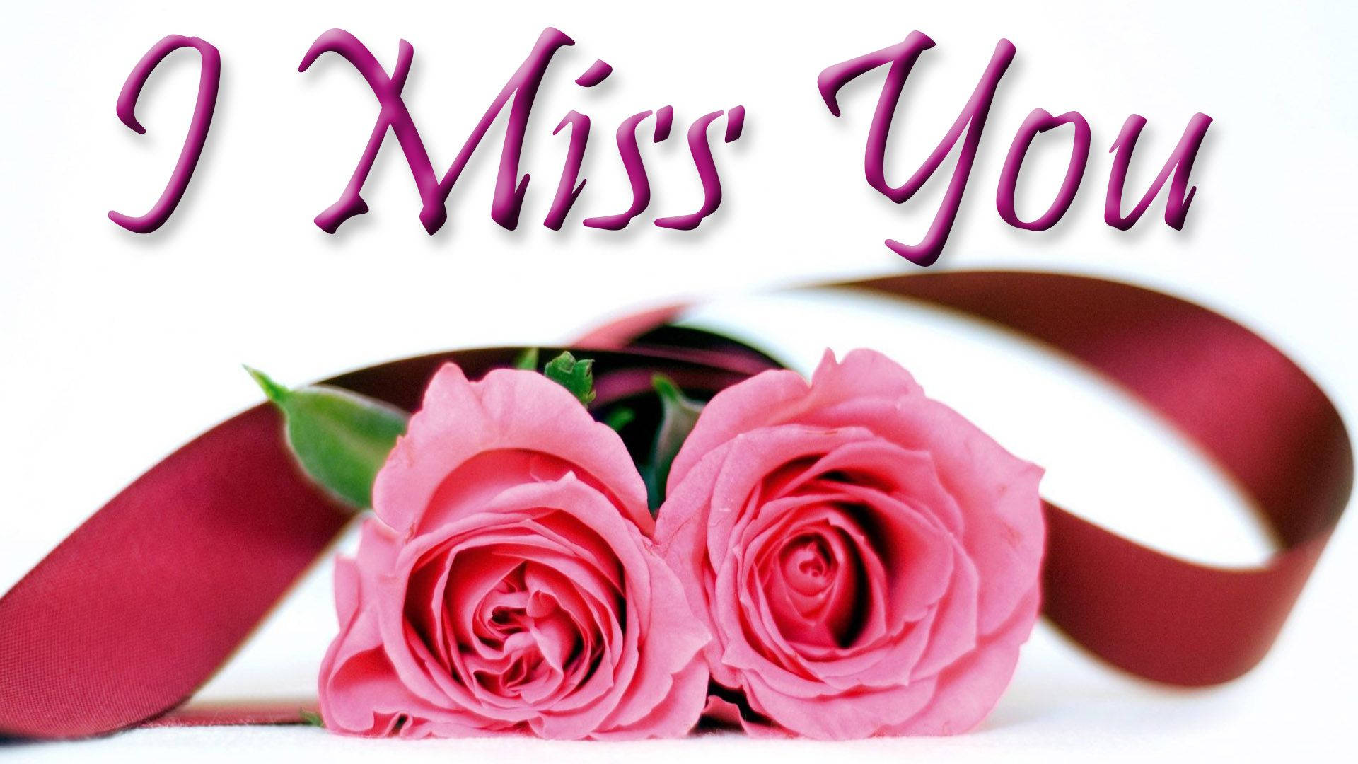 我想你 桌布 壁紙 — 兩朵粉紅玫瑰，帶有紅色絲帶和紫色文字 I Miss You，背景為白色。