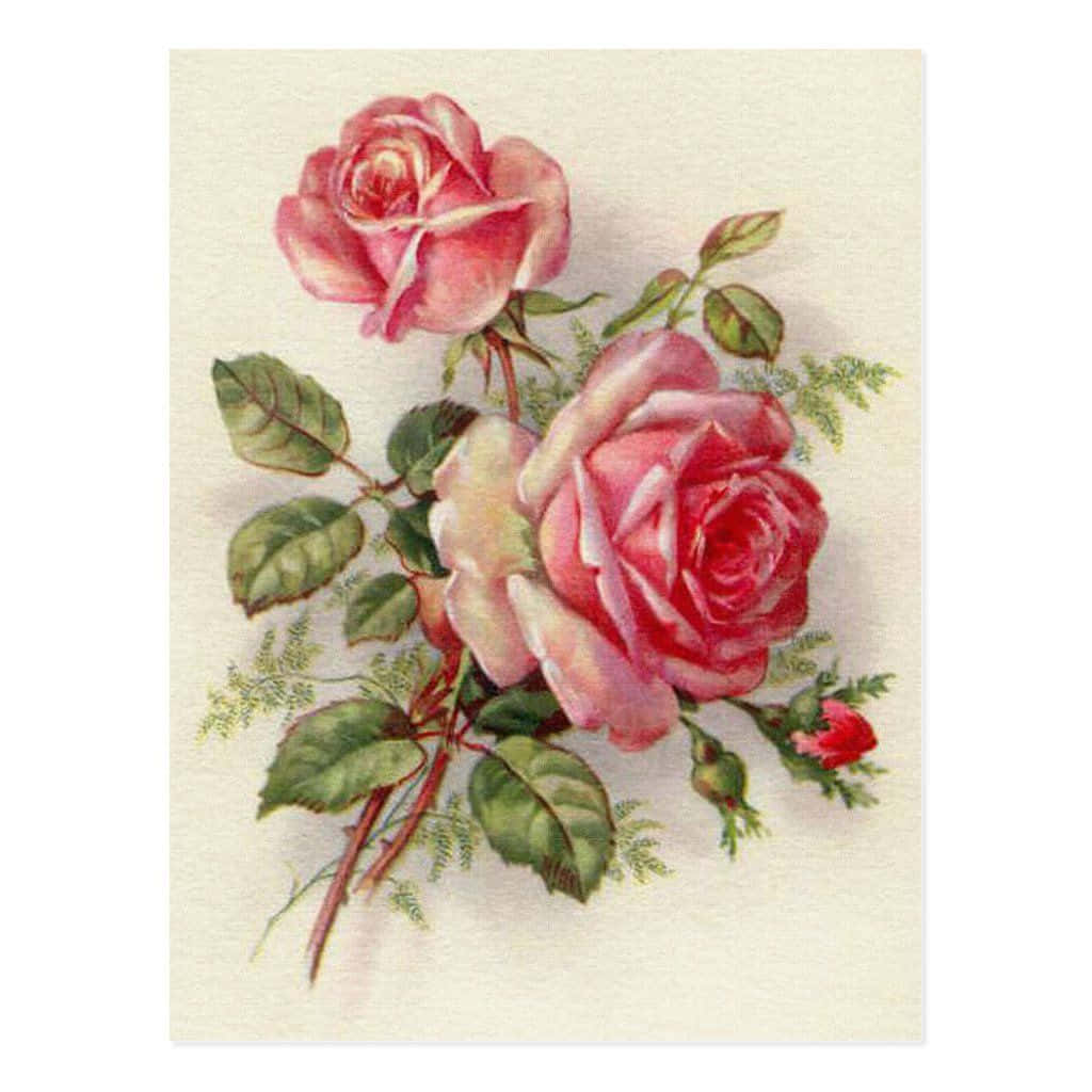 Vintage Rose 桌布 壁紙 — 兩朵精緻的粉紅玫瑰，搭配綠葉和一個小花蕾，在柔和的奶油色背景上優雅綻放。