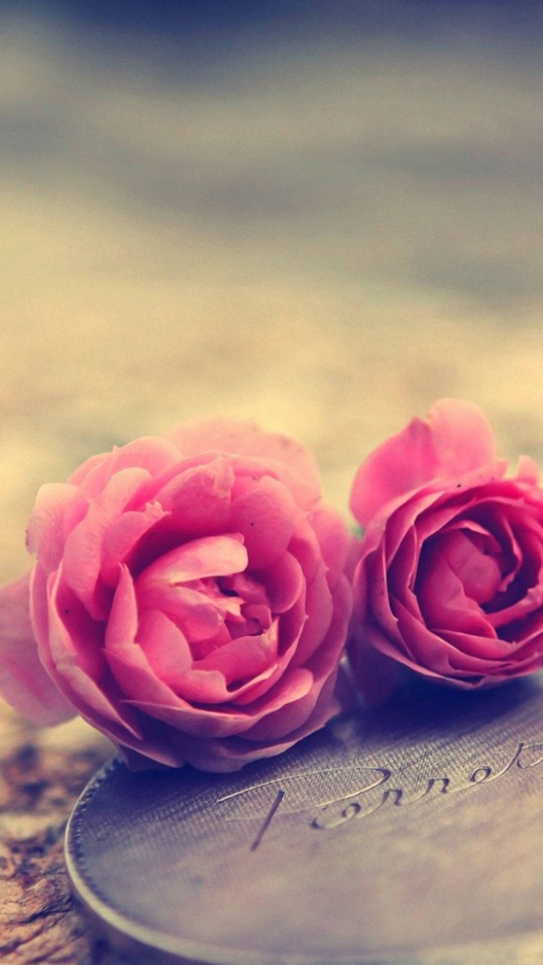 Rose iPhone 桌布 壁紙 — 兩朵精緻的粉紅玫瑰輕輕地放在一枚復古硬幣上，背景夢幻模糊。