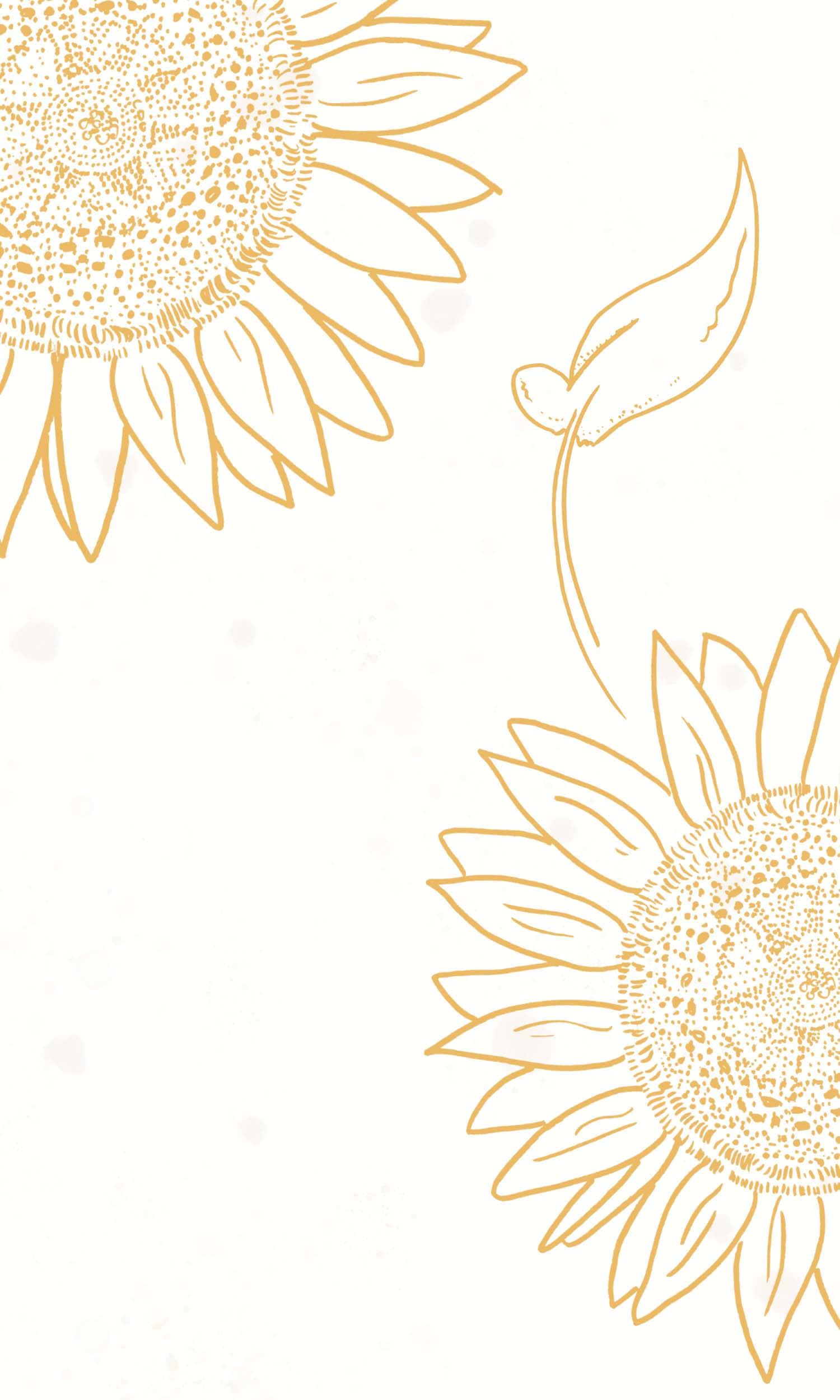 Aesthetic Sunflower 桌布 壁紙 — 兩朵金色向日葵，花心細節豐富，配上一片葉子，以精緻線條藝術呈現，背景為柔和奶油色。