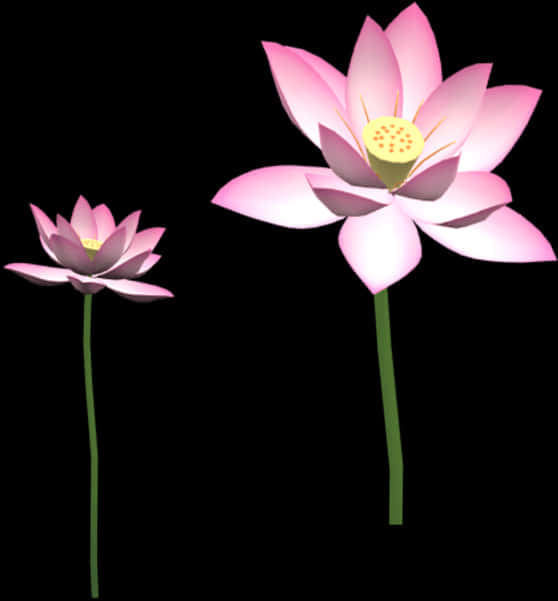 lotus 桌布 壁紙 — 兩朵風格化的粉紅色蓮花，帶有綠色莖，在純黑色背景上綻放。