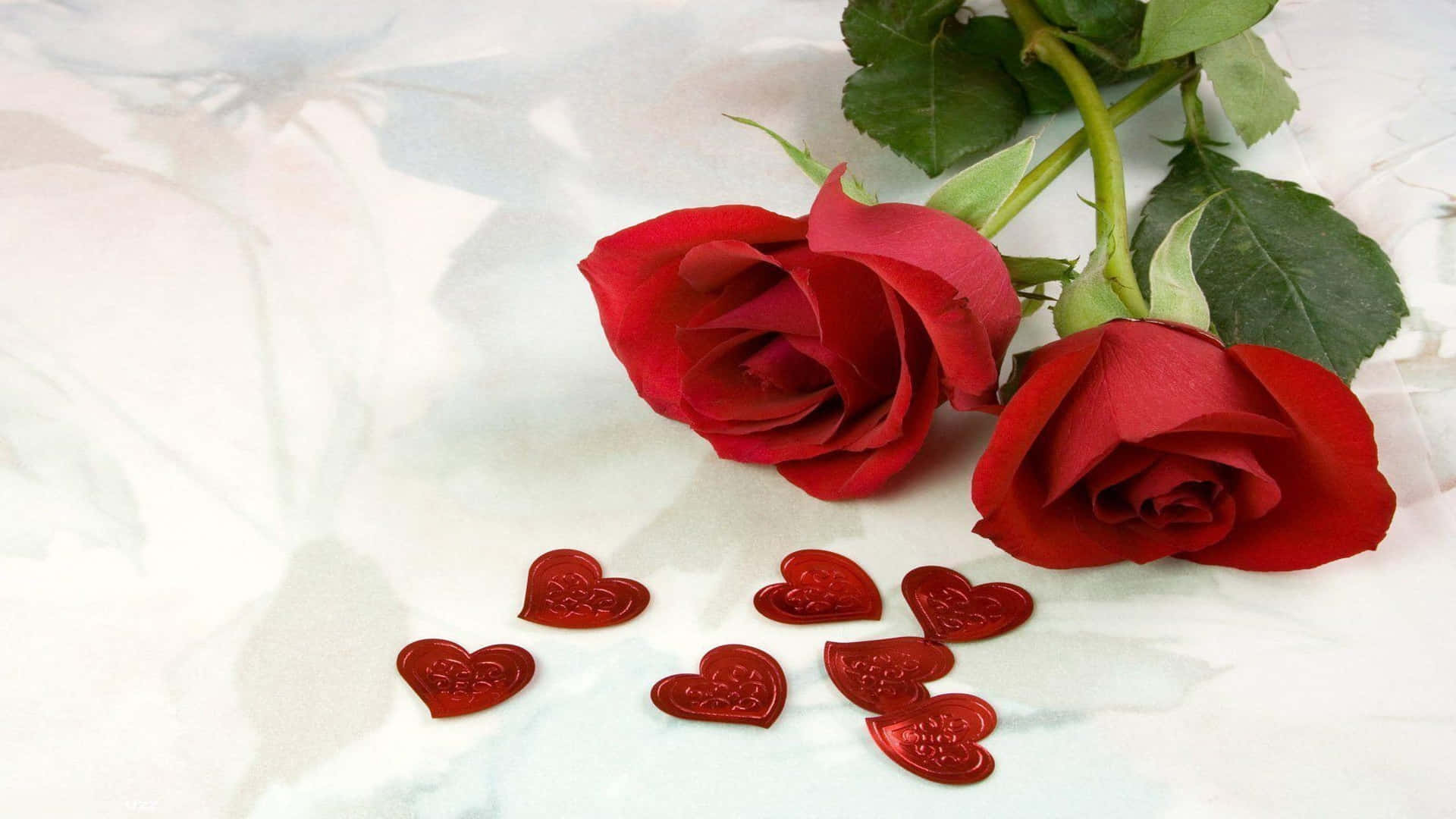 Rose Flower 桌布 壁紙 — 兩朵鮮紅玫瑰配綠葉，旁邊散落著紅色心形糖果，置於柔軟白色布料上。