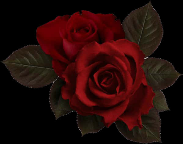 Red Rose Aesthetic 桌布 壁紙 — 兩朵鮮豔的紅玫瑰，帶有深綠色的葉子，在純黑背景下盛開。
