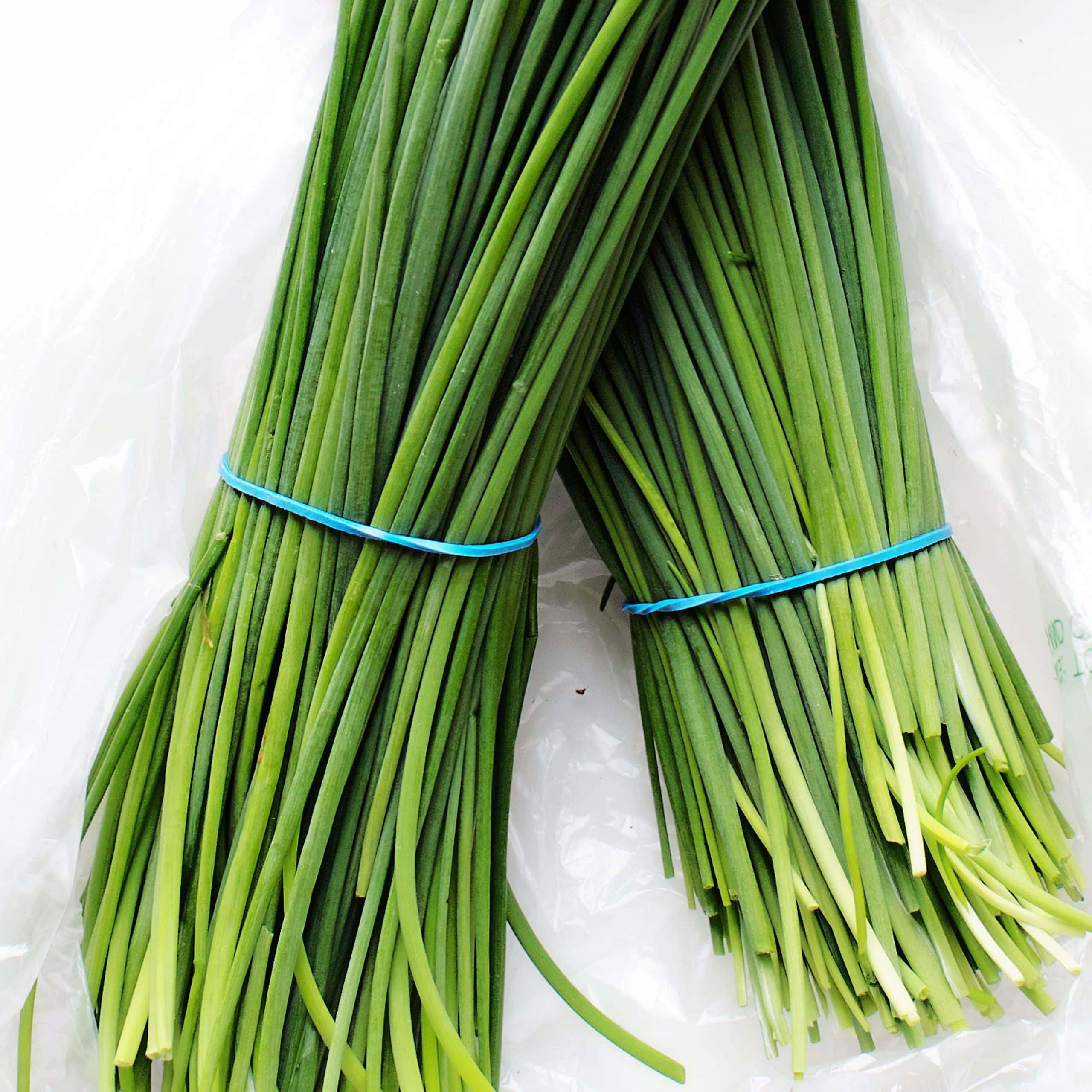 Food Photography 桌布 壁紙 — 兩束新鮮翠綠的韭菜用藍色橡皮筋綁好，放在皺巴巴的白色塑膠表面上。