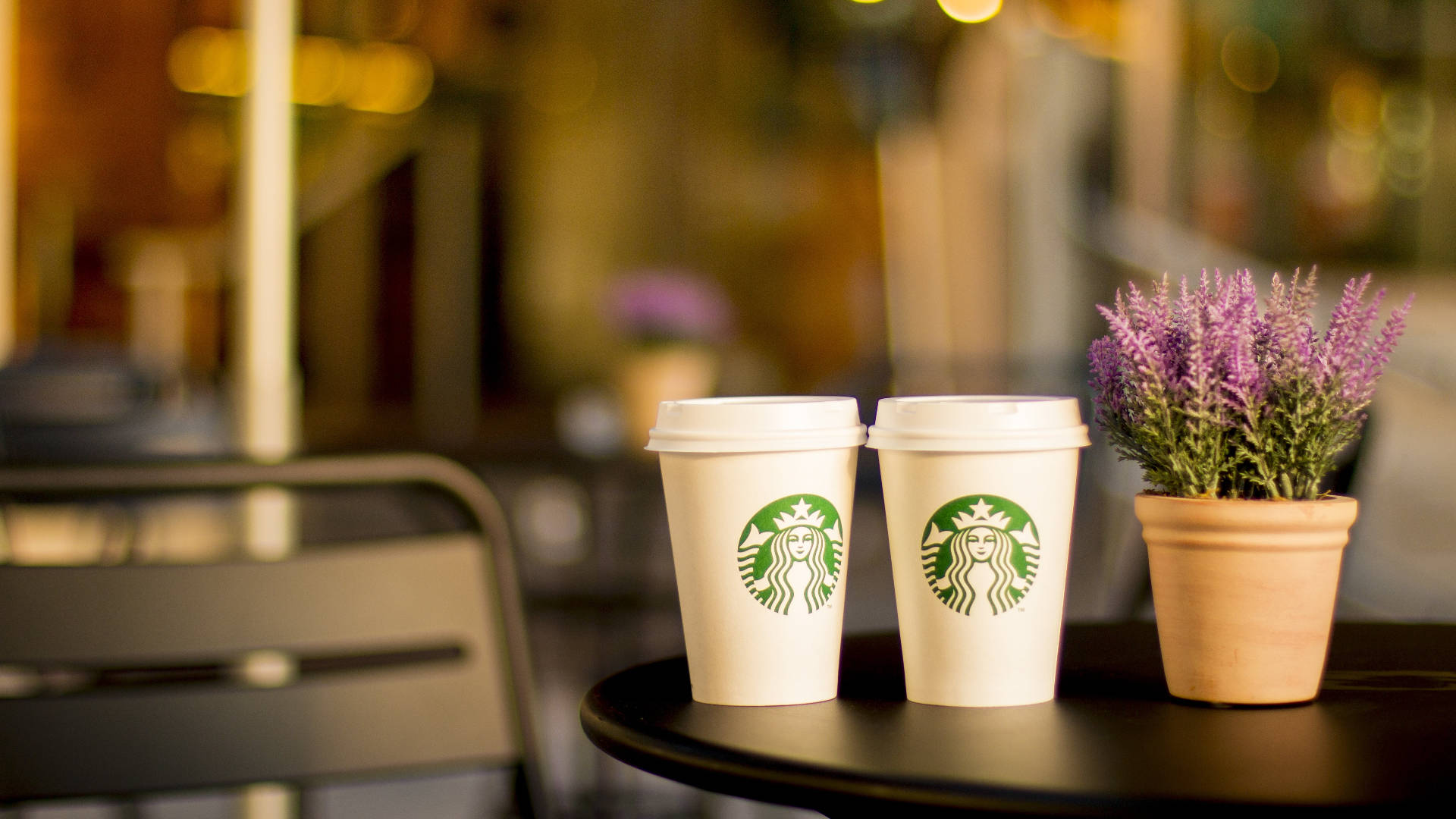星巴克 桌布 壁紙 — 兩杯Starbucks咖啡和一個盆栽薰衣草放在一張深色桌子上，背景是燈光柔和、模糊的咖啡館。