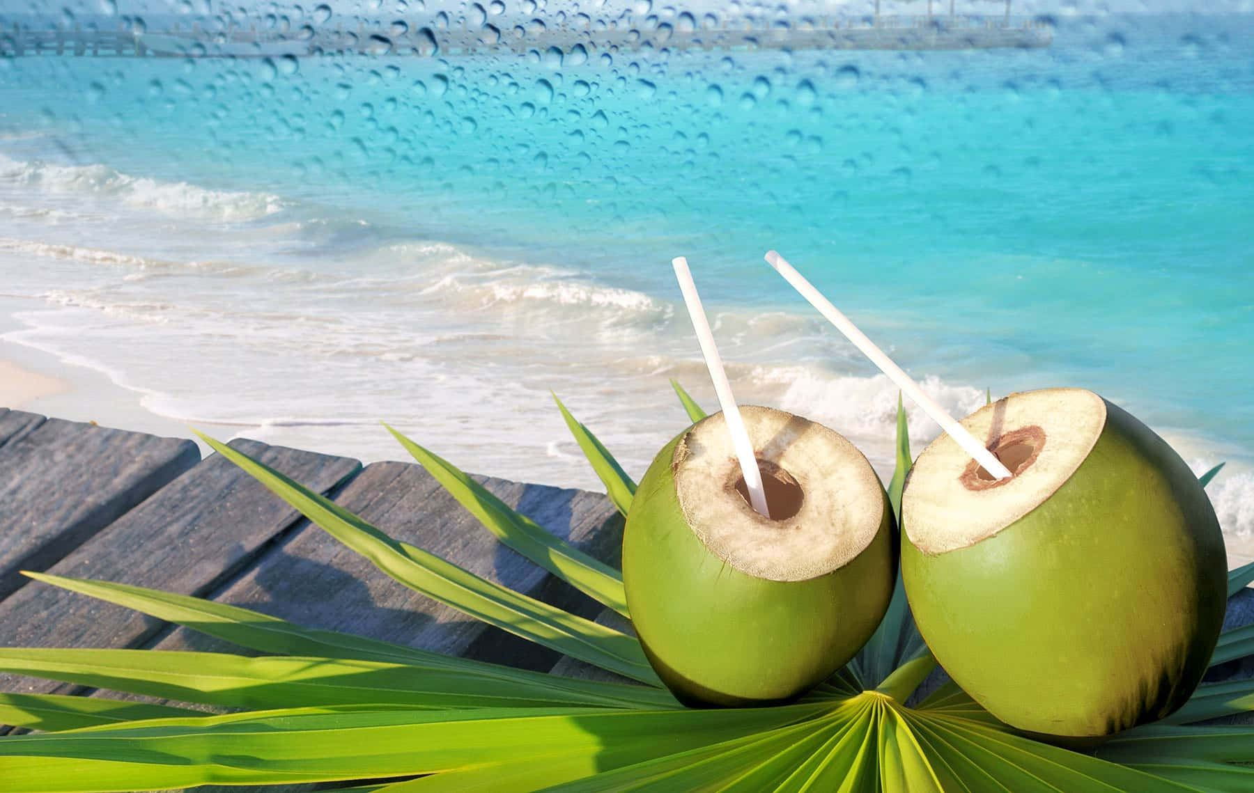Coconut 桌布 壁紙 — 兩杯新鮮椰子飲品連吸管放在棕櫚葉上，旁邊是木製碼頭，俯瞰著碧綠的海浪。