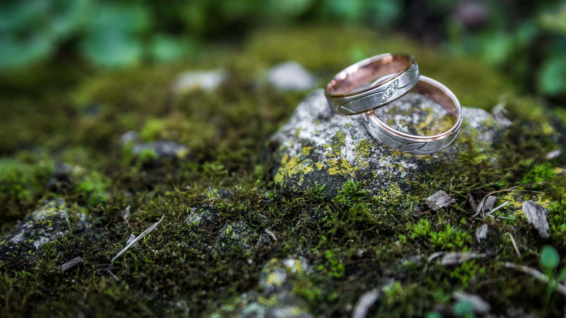 Wedding Ring 桌布 壁紙 — 兩枚交織的結婚戒指放在茂密綠色森林中一塊長滿苔蘚的石頭上。