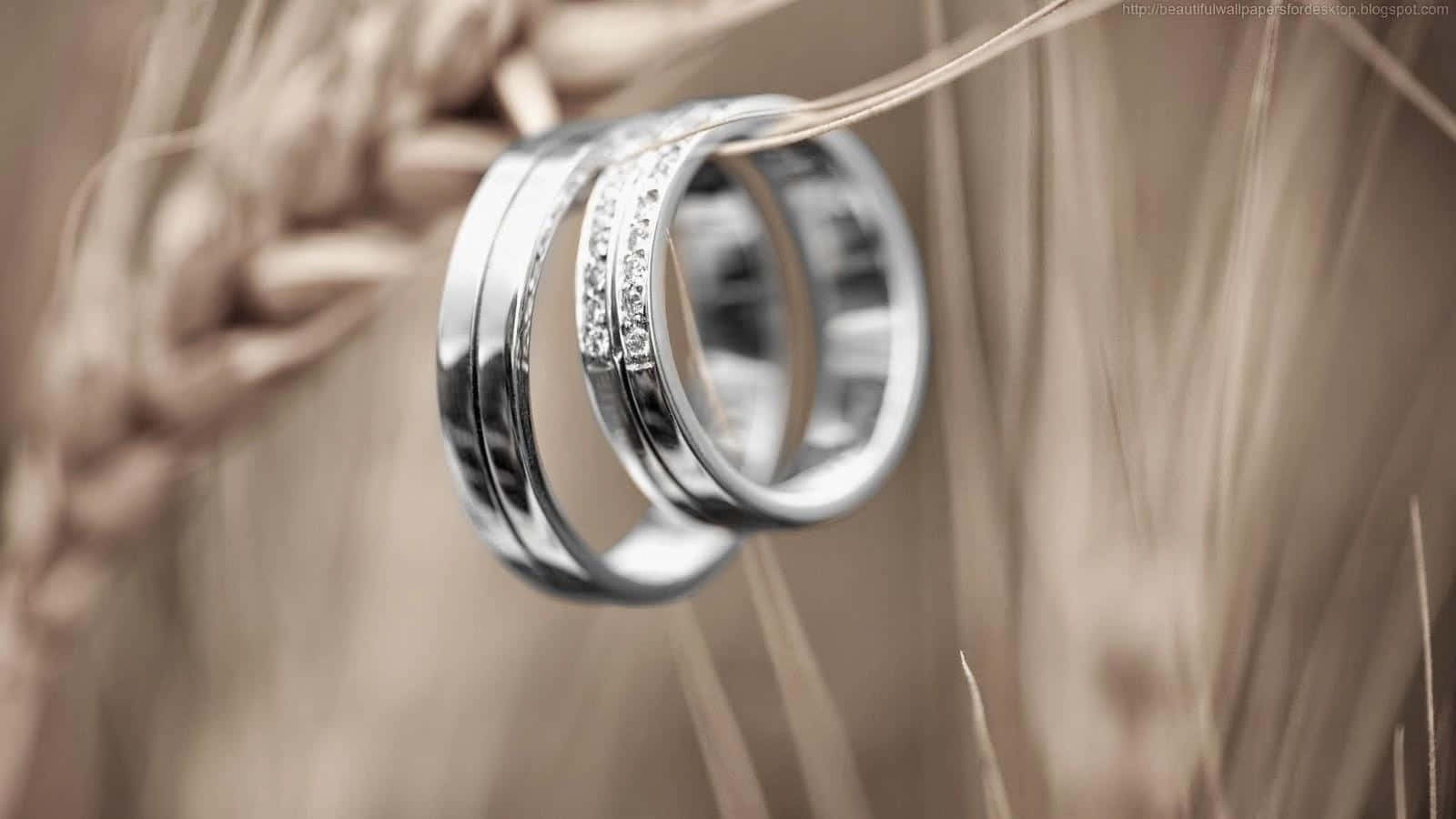 Ring 桌布 壁紙 — 兩枚優雅的銀色結婚戒指，帶有鑽石點綴，柔和焦點下放置在金色麥稈上。