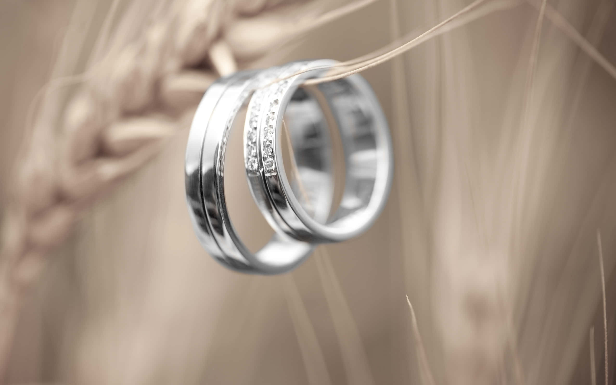 Earrings 桌布 壁紙 — 兩枚優雅的銀色結婚戒指鑲有鑽石，交織在金色麥稈上，呈現柔和焦點。