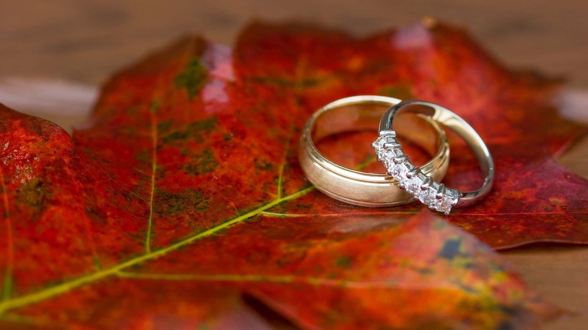Marriage 桌布 壁紙 — 兩枚結婚戒指優雅地放在一片帶有綠色葉脈的鮮紅色秋楓葉上。