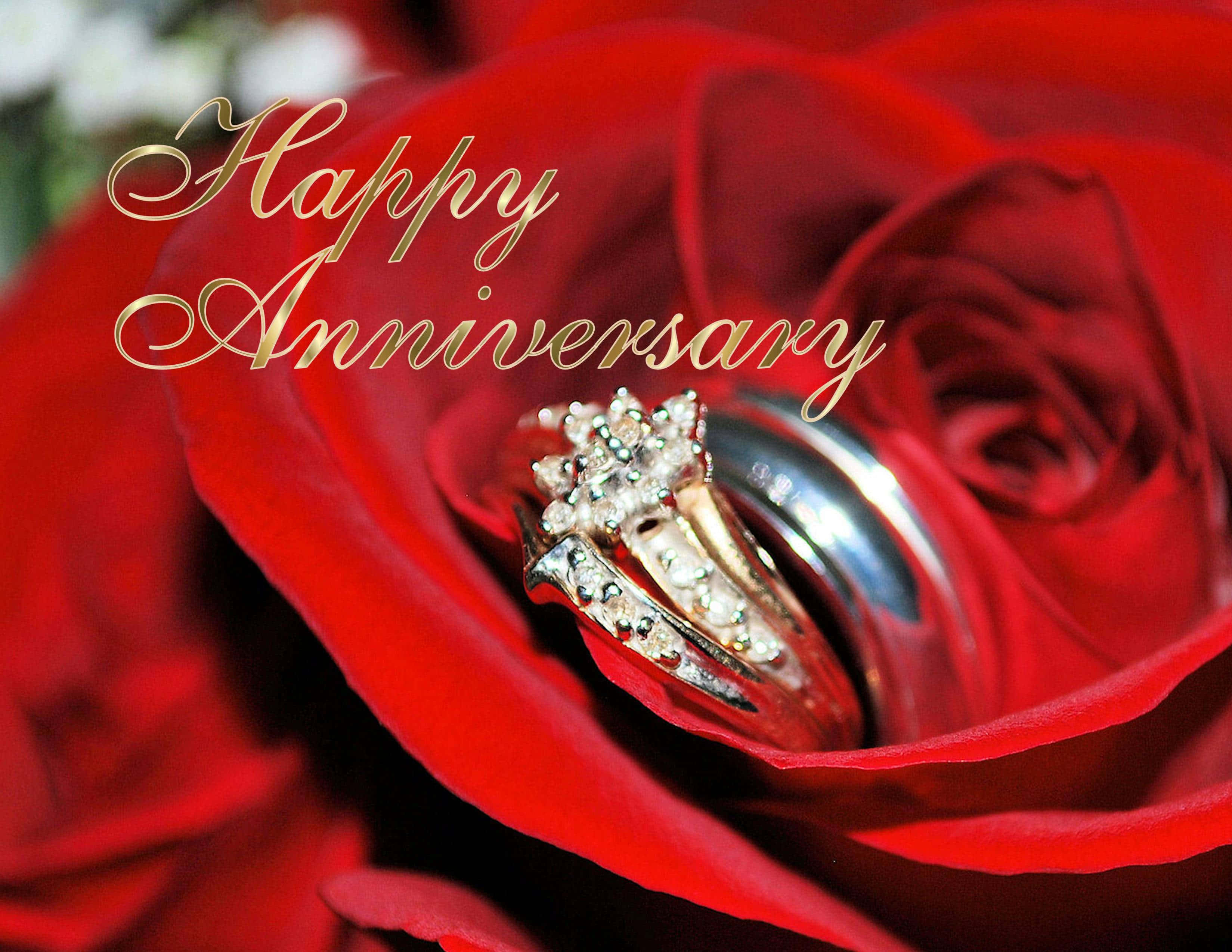 Anniversary 桌布 壁紙 — 兩枚結婚戒指在絲絨紅玫瑰上閃耀，帶有金色 'Happy Anniversary' 字樣。