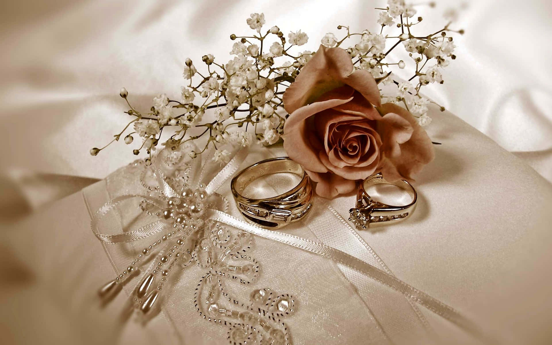 Wedding Rings 桌布 壁紙 — 兩枚結婚戒指放在一個帶有珠飾蕾絲邊的緞面枕頭上，旁邊是一朵塵玫瑰和滿天星。
